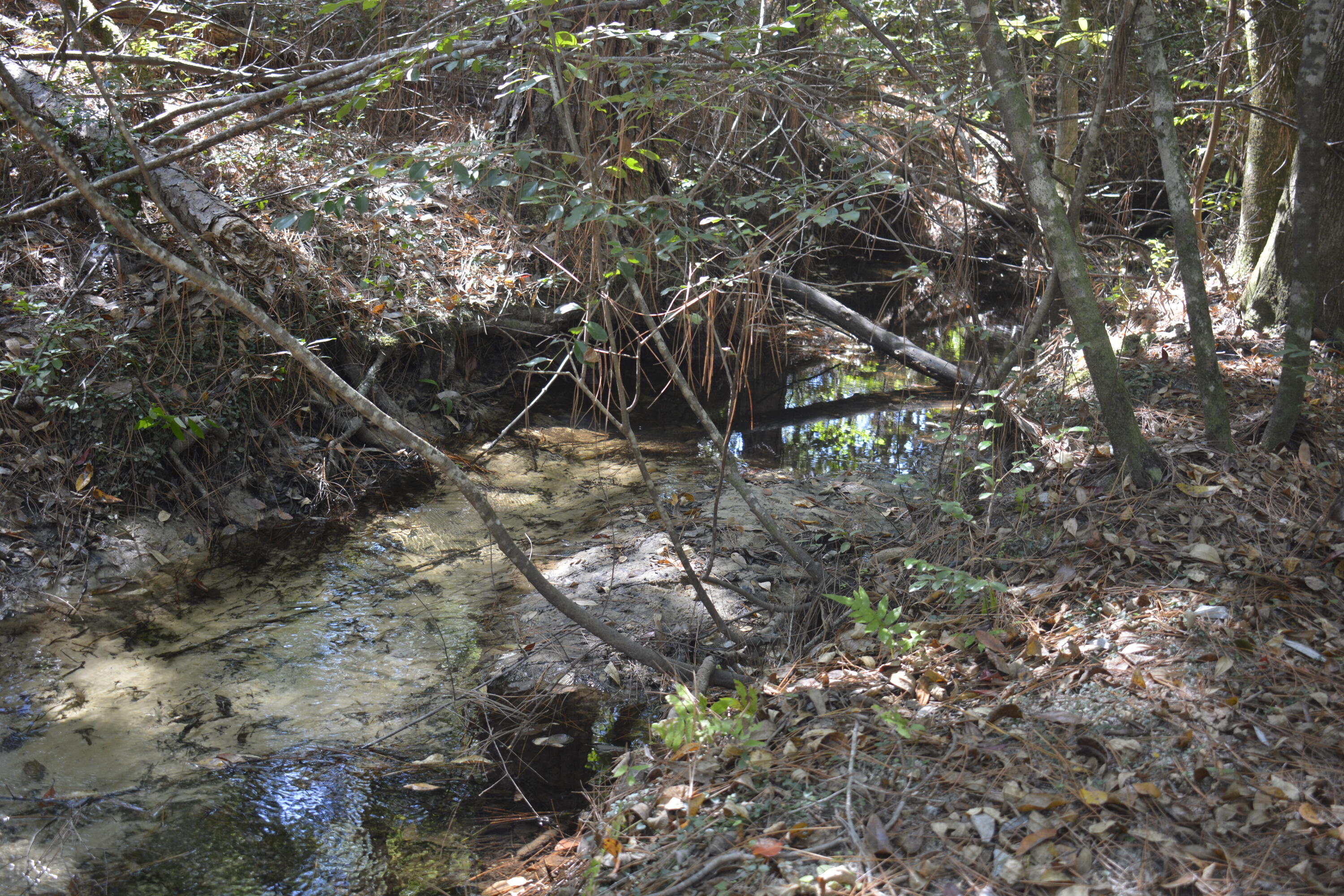 METES & BOUNDS - Land