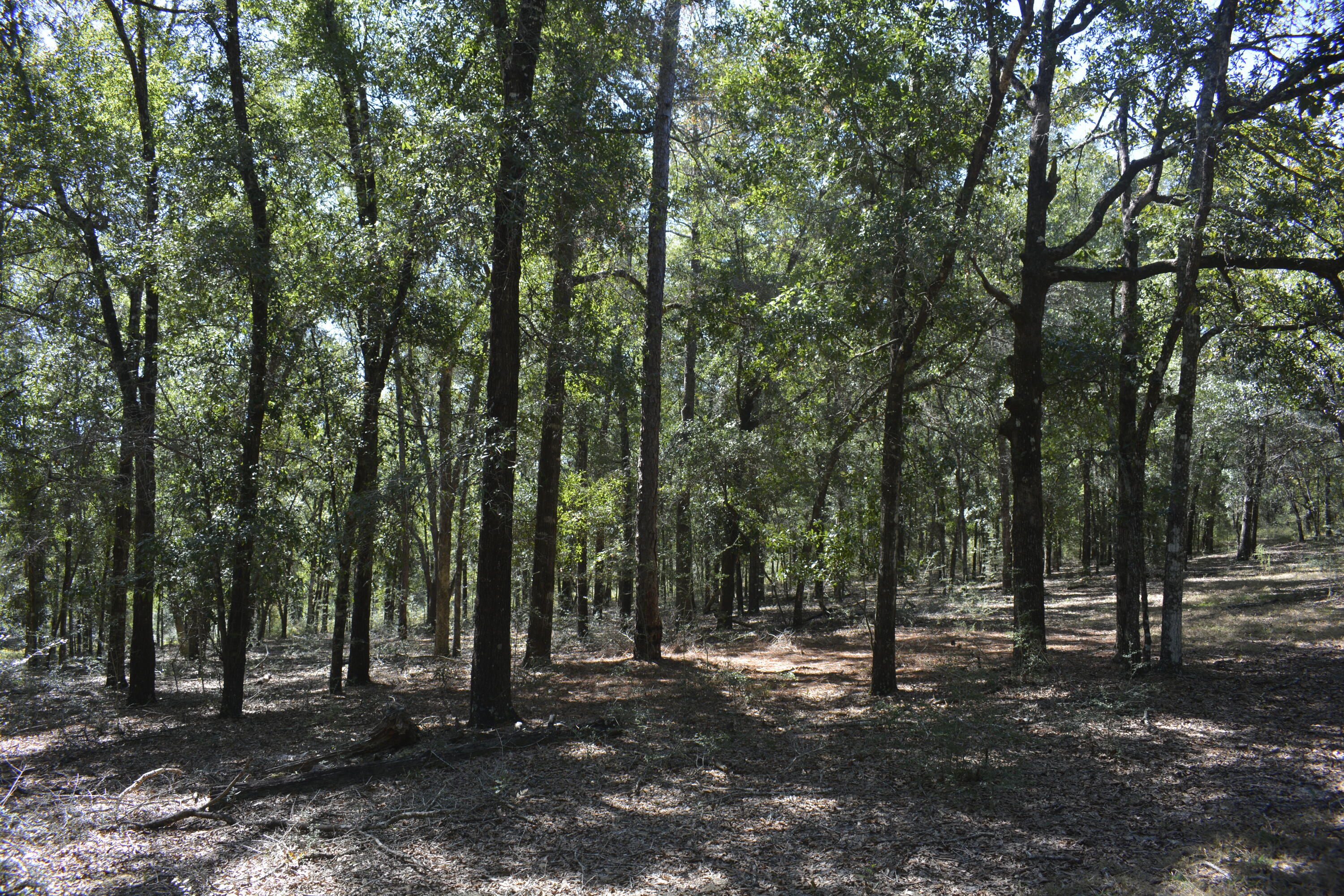 2928 Aplin (32 ac.) Road