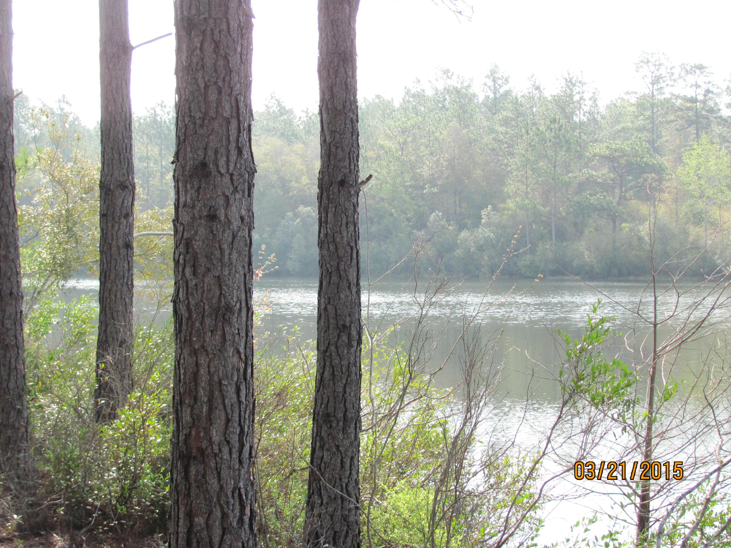 CLEAR CREEK ESTATES - Residential