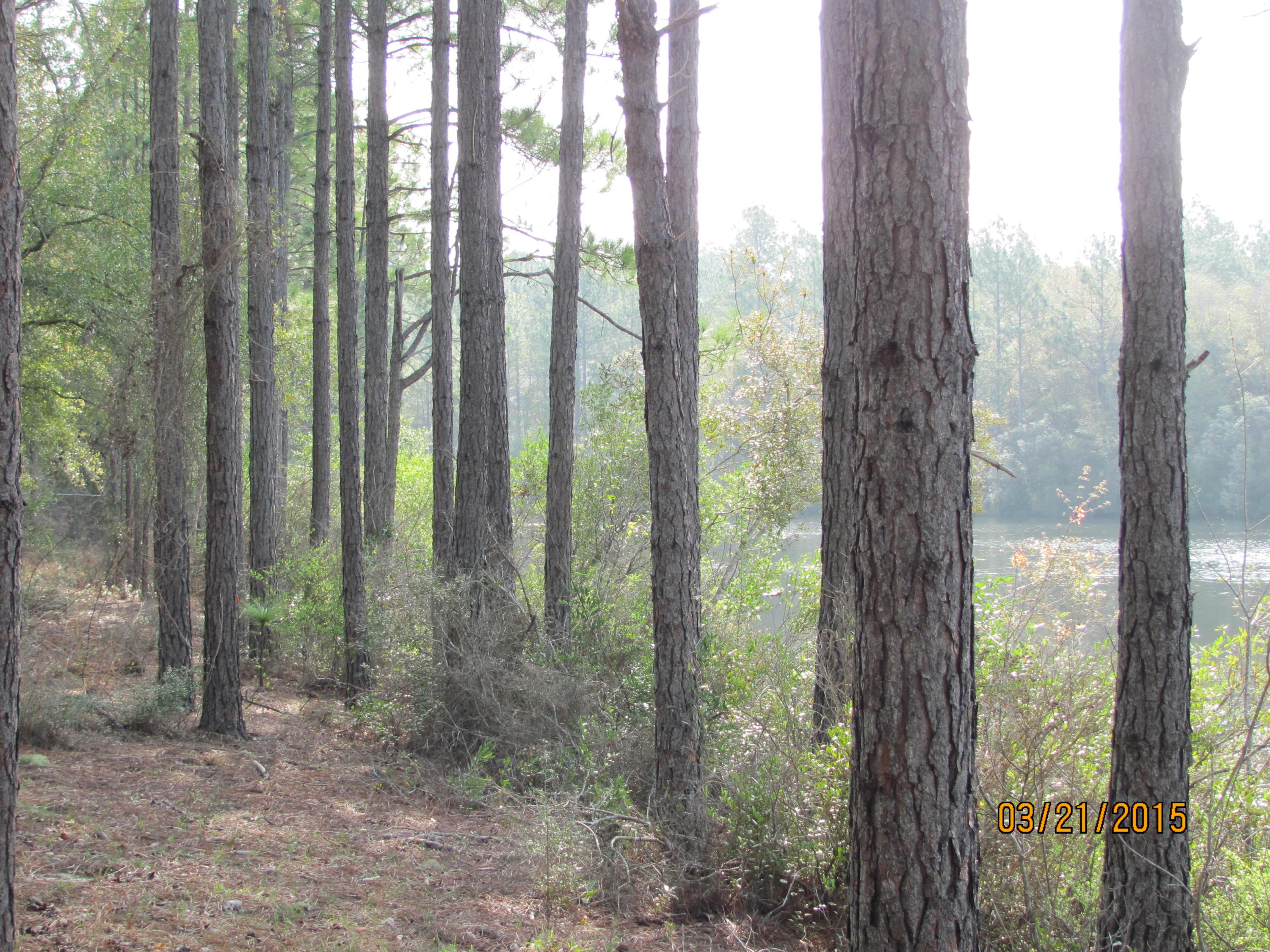 CLEAR CREEK ESTATES - Residential