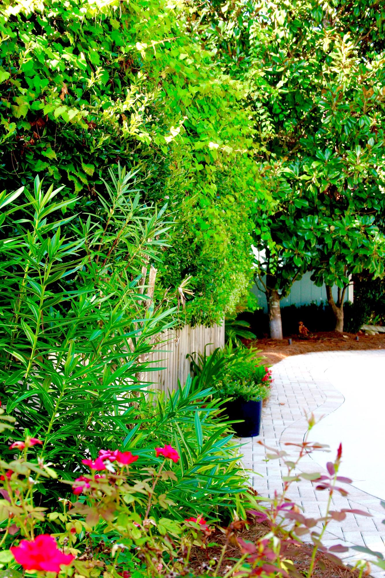 SEAGROVE SHORES 4TH ADD - Residential