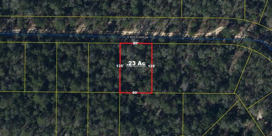 80 x 125 lot in growing Mossy Head. Roads not county maintained...road signs may not be present. At this price, would be a great opportunity to invest now, wait a few years for the area to develop around and re-sell later down the line. 2023 property taxes under $30.