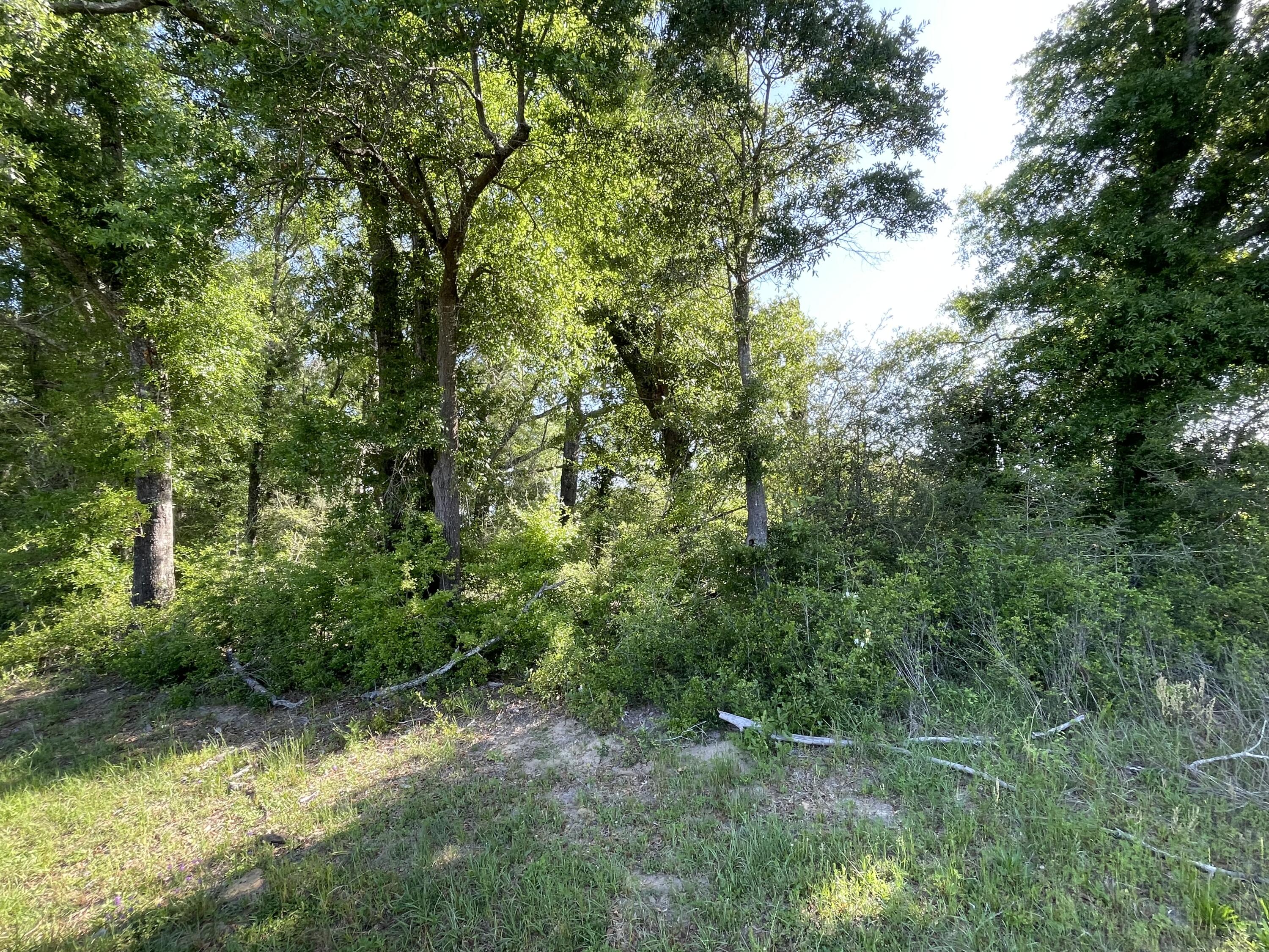331 North - Land