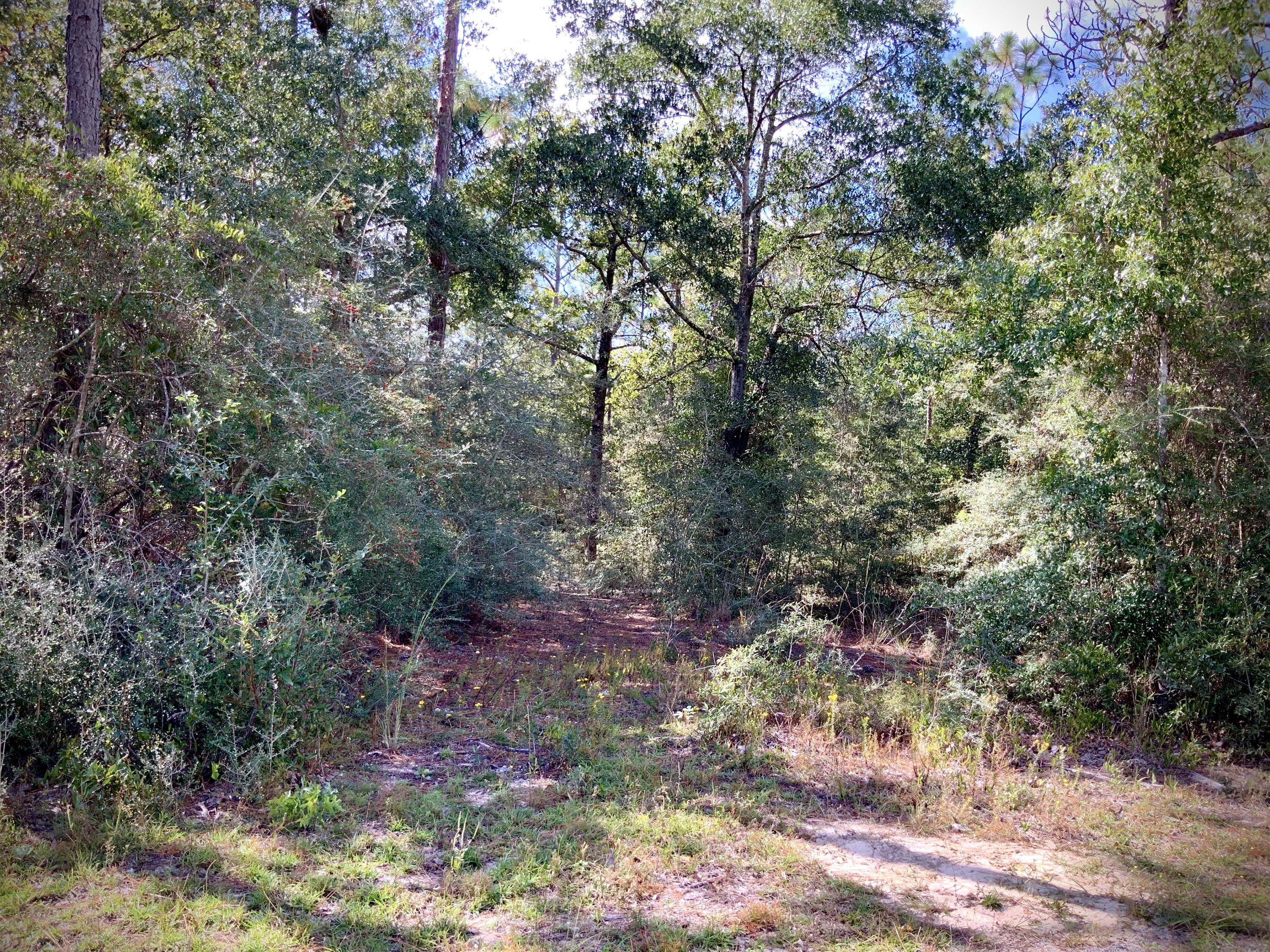 NORTH SUPERGROUP (221000.00) - Land