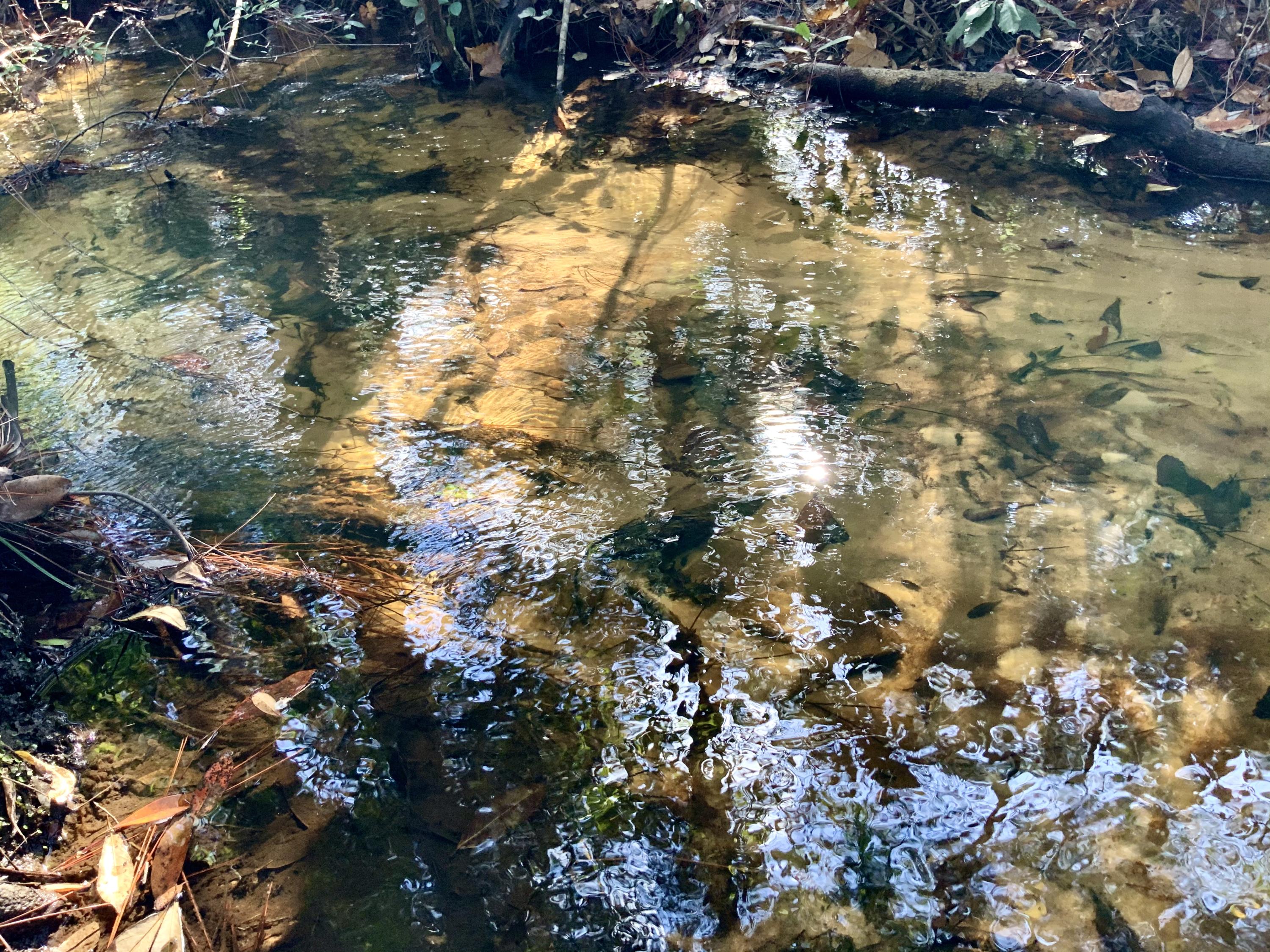 NORTH SUPERGROUP (221000.00) - Land