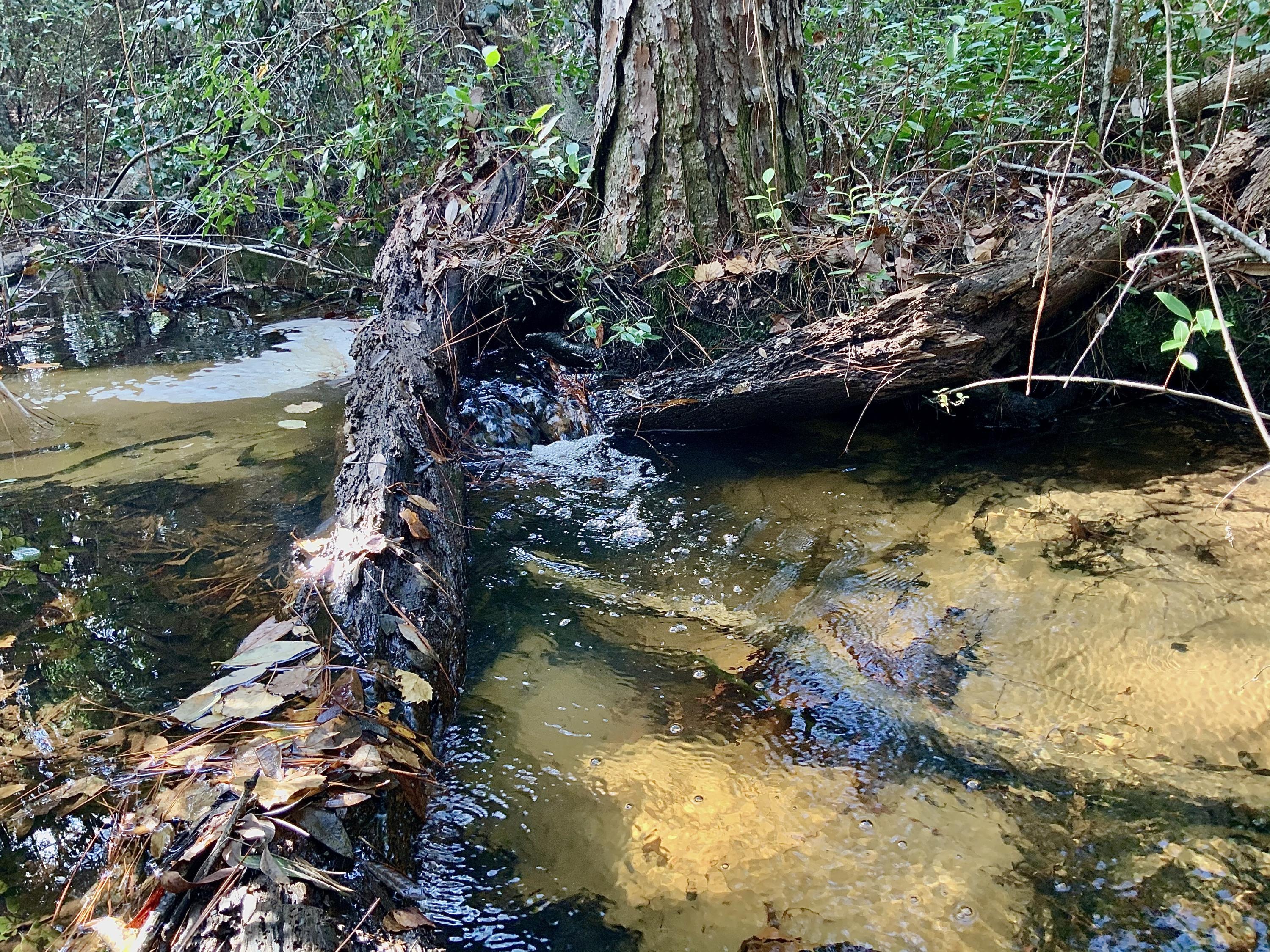 NORTH SUPERGROUP (221000.00) - Land