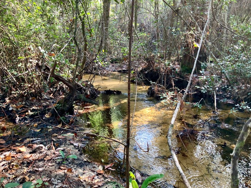 Paved Road Frontage. Beautiful acreage for building your dream home or a  hunter's retreat.  Over 9 acres of wooded land that gently slopes to a clear water creek. Escape to the country but with the convenience of being minutes from town.  Buyer to verify acreage and all areas of importance.