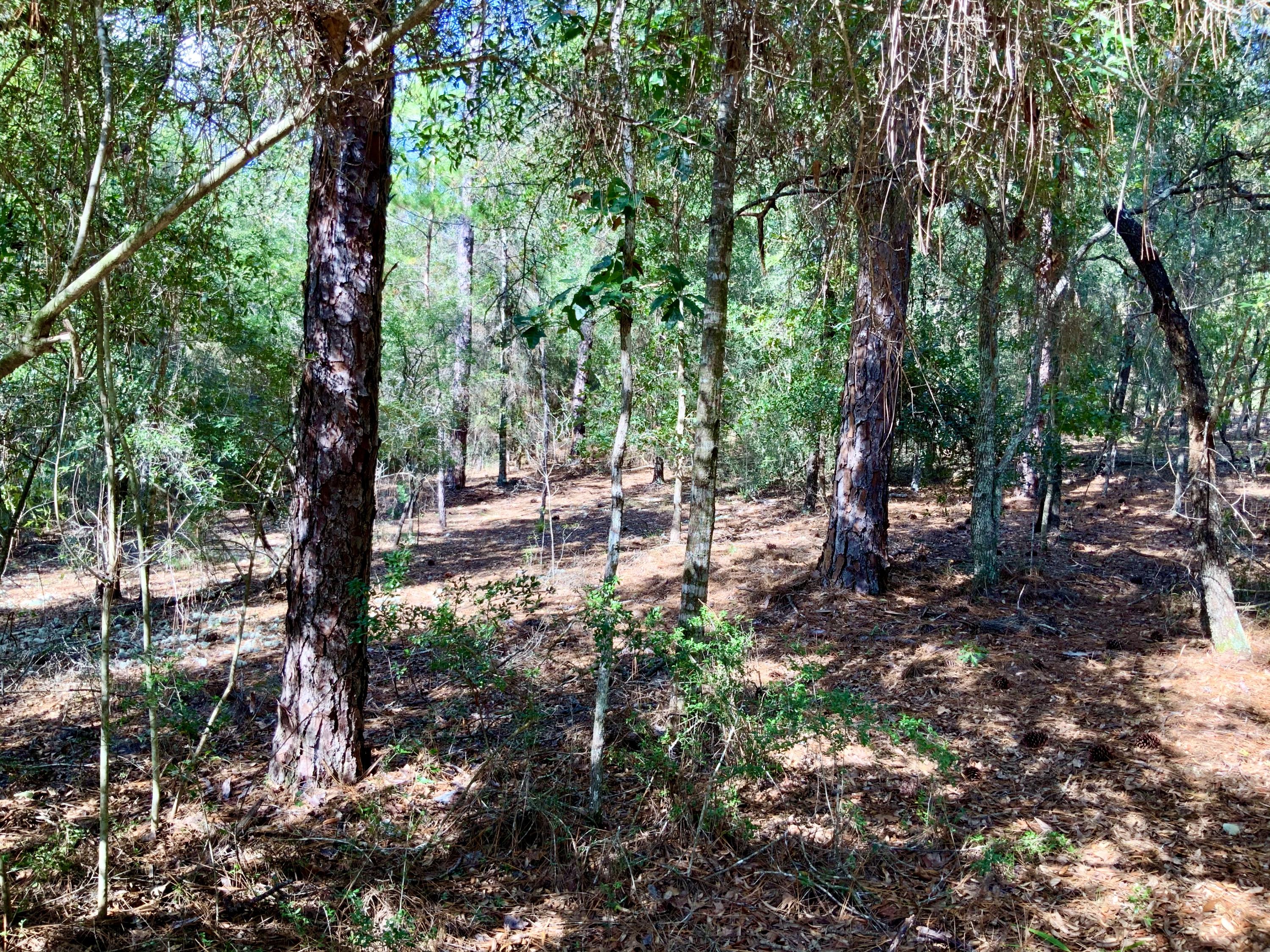 NORTH SUPERGROUP (221000.00) - Land