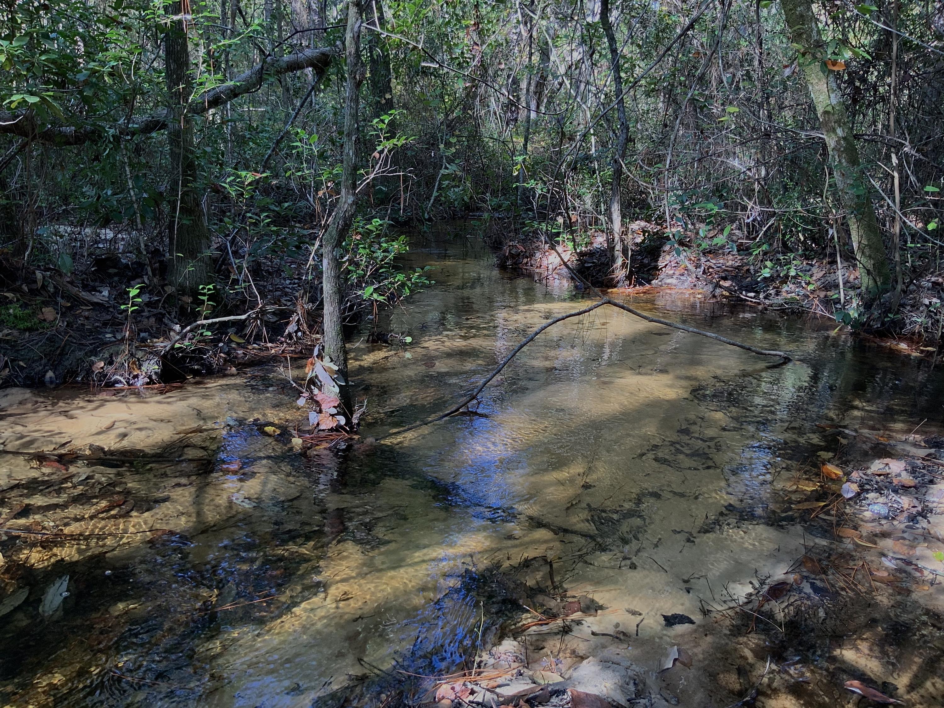 NORTH SUPERGROUP (221000.00) - Land