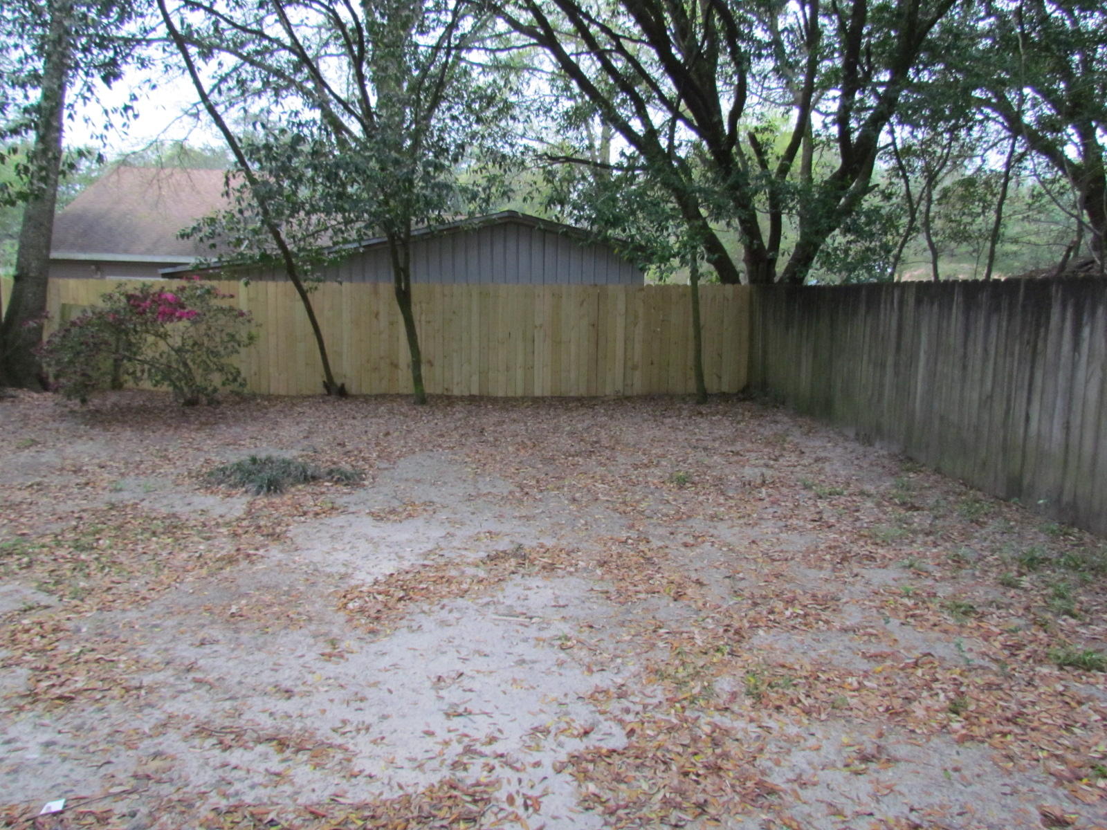 MEIGS S/D - Residential Lease