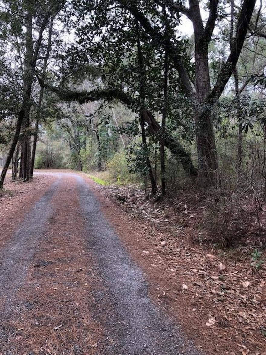 Wooded .486 acre lot on Jones Drive near LaGrange Bayou. Build your new home and enjoy the bayou nearby. Located approximately 1 mile south of the new Publix Shopping Center. City water available. Lot requires septic tank. Lot in Flood Zone X