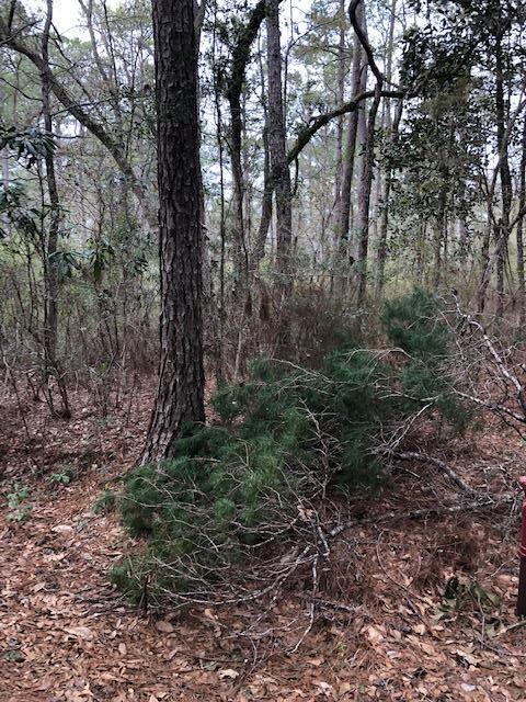 PARADISE UNREC - Land