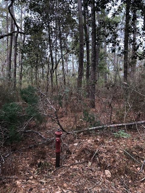 PARADISE UNREC - Land