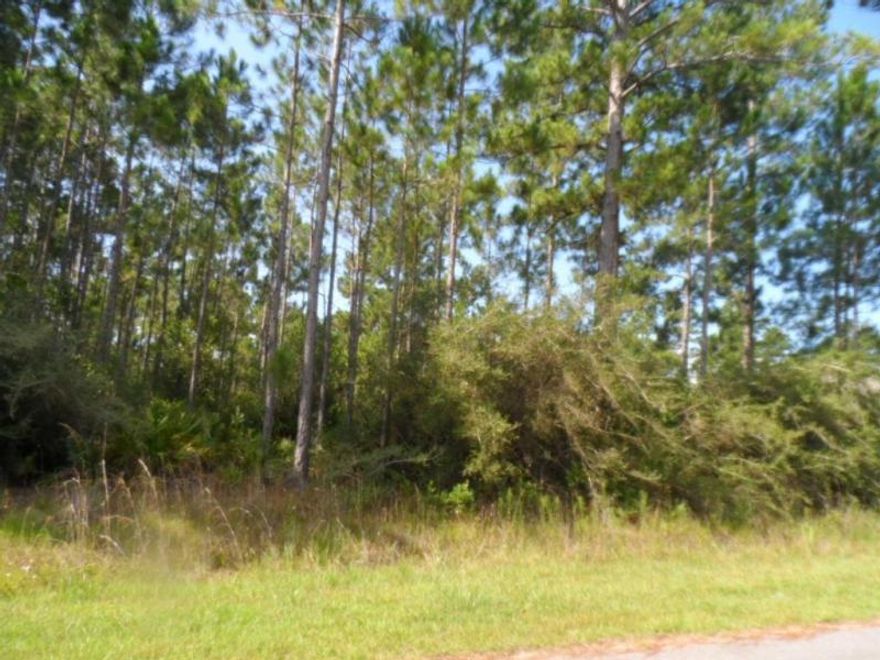 Great lot in Holley by the Sea; Public Sewer