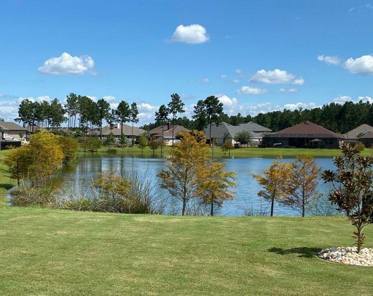 Hammock Bay - Residential