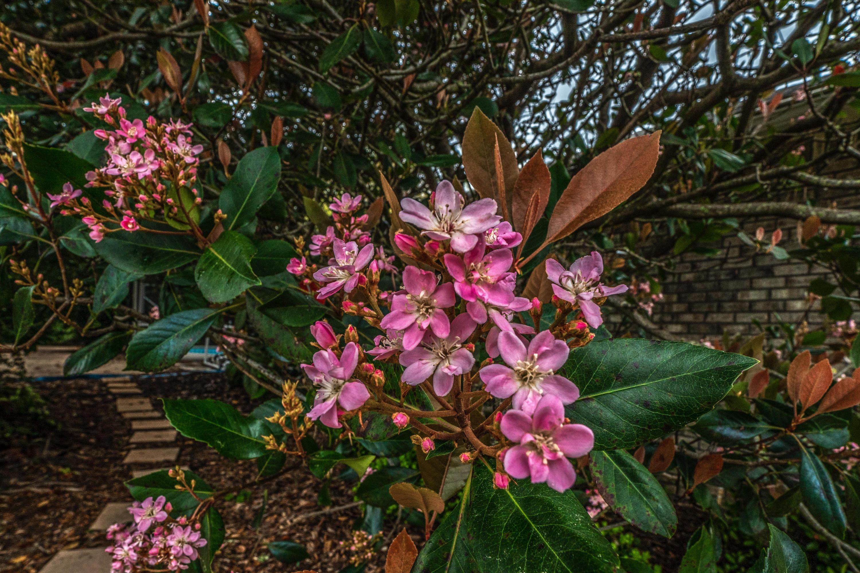 BISCAYNE POINTE - Residential