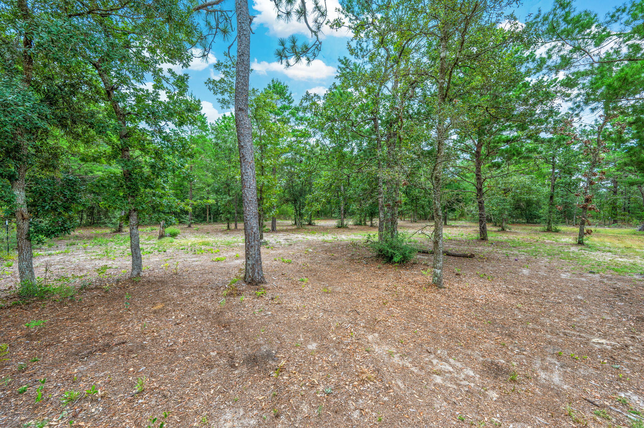 OAKWOOD HILLS UNIT V - Residential