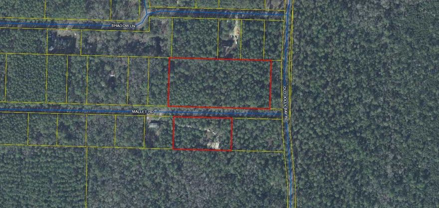 Wooded lot, just under 1 acre, located mid-way between Freeport and the 331 bridge over Choctawhatchee Bay.  Manufactured homes are permitted.  Additional adjoining lots are available.  Lot is in Flood Zone X.  Great location close to all the fishing, shopping and restaurants in South Walton.