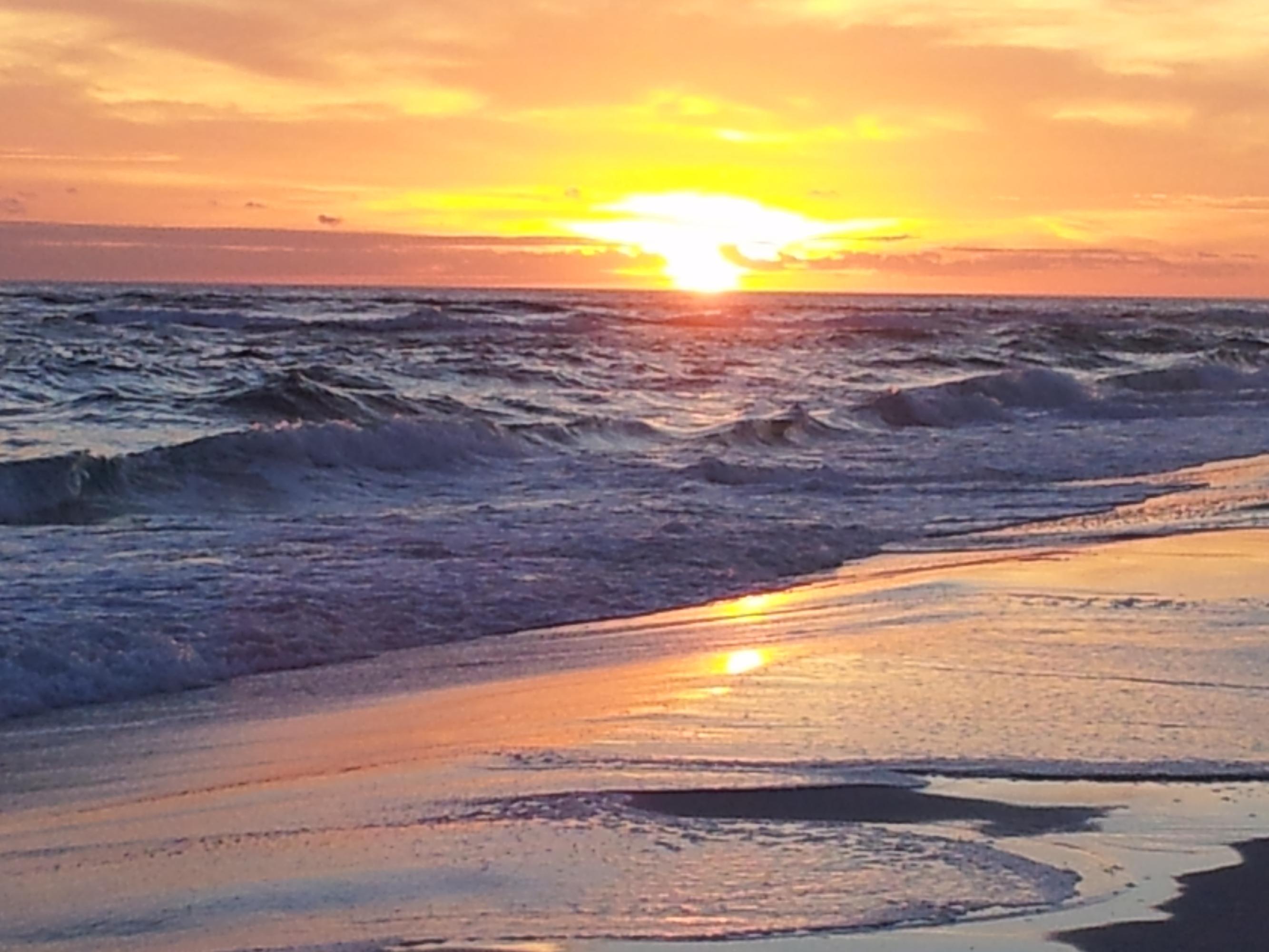 ISLANDER CONDO Ph I - Residential