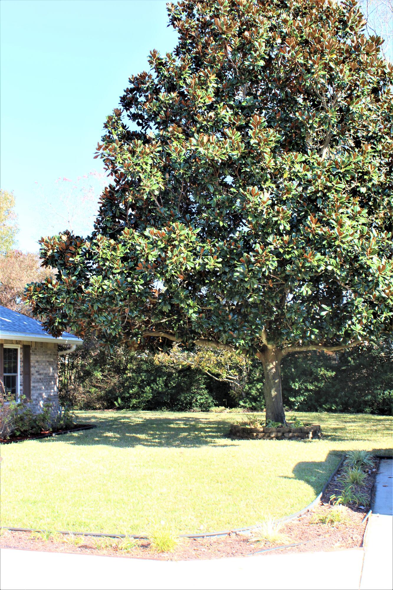 QUAIL RUN - Residential