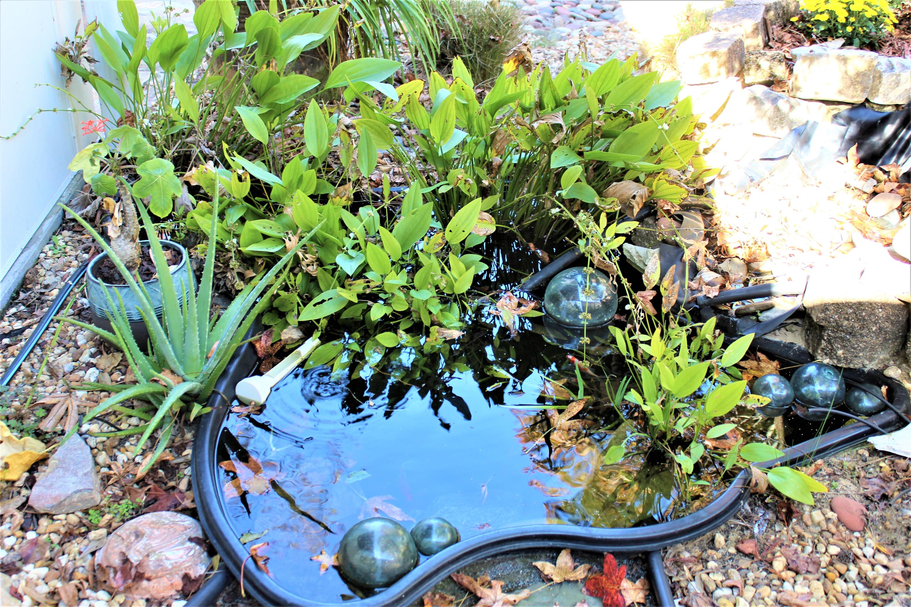 QUAIL RUN - Residential