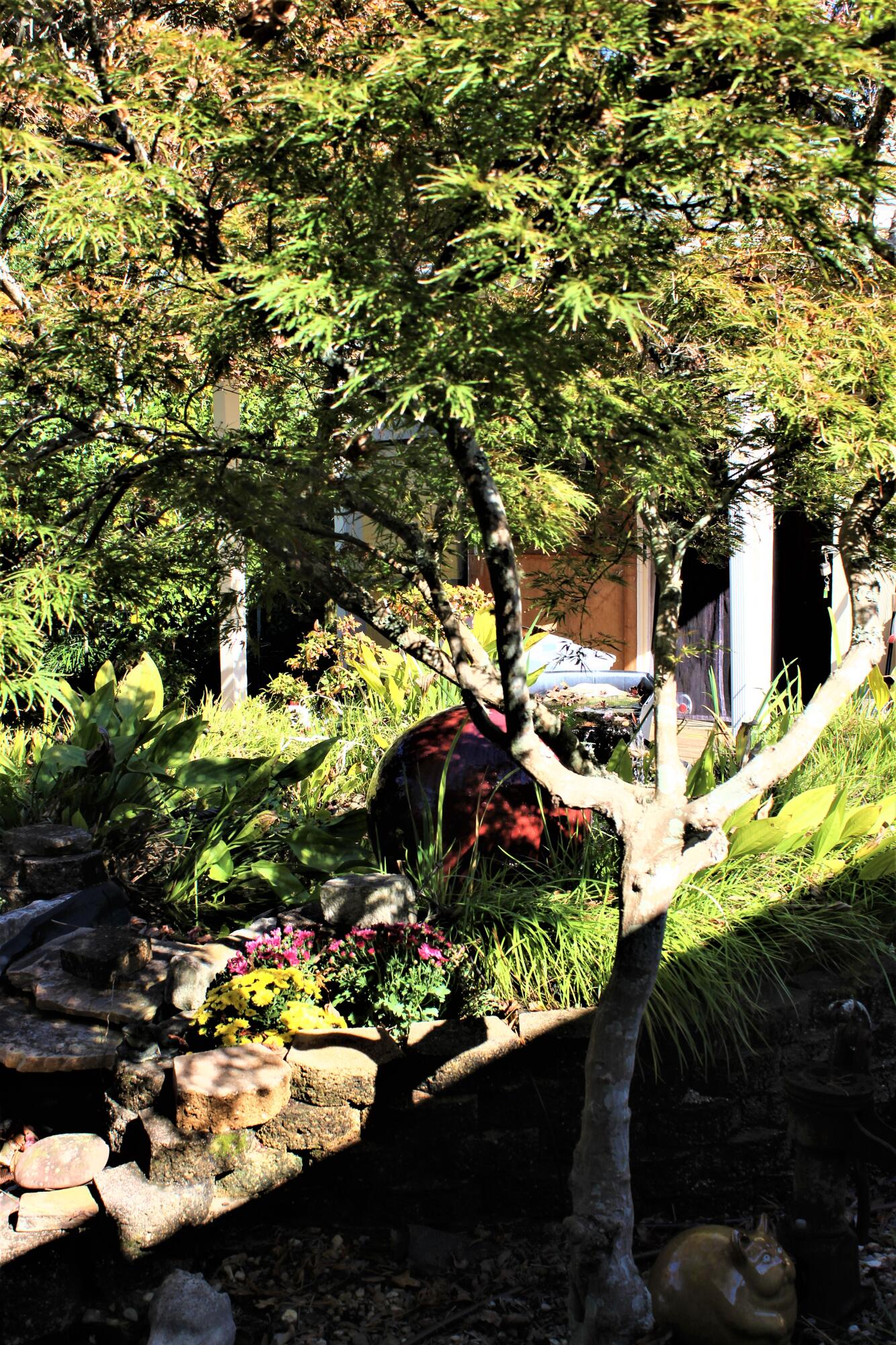 QUAIL RUN - Residential