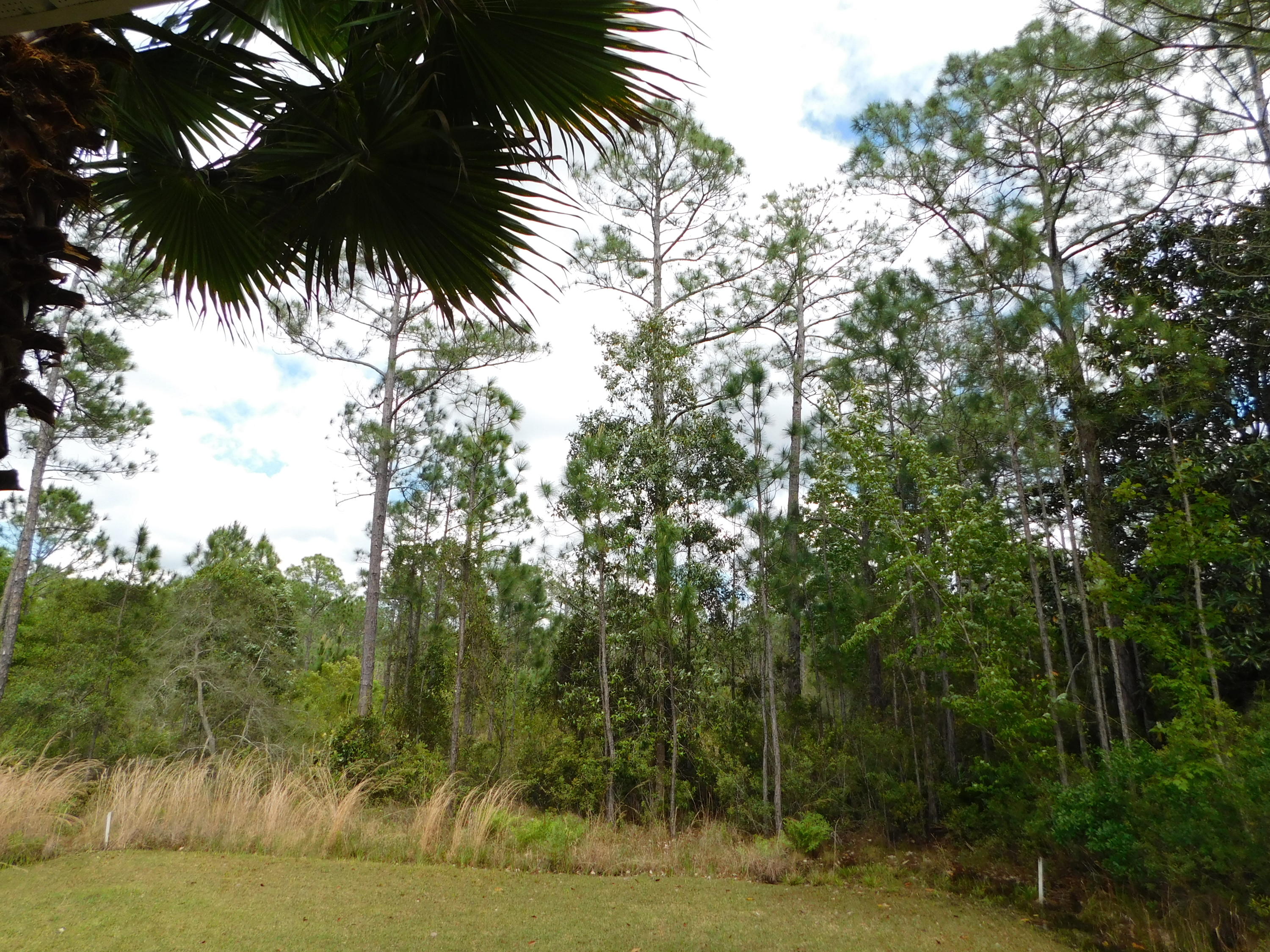 1605 - Live Oak Pt and Old Town of Santa Rosa - Residential