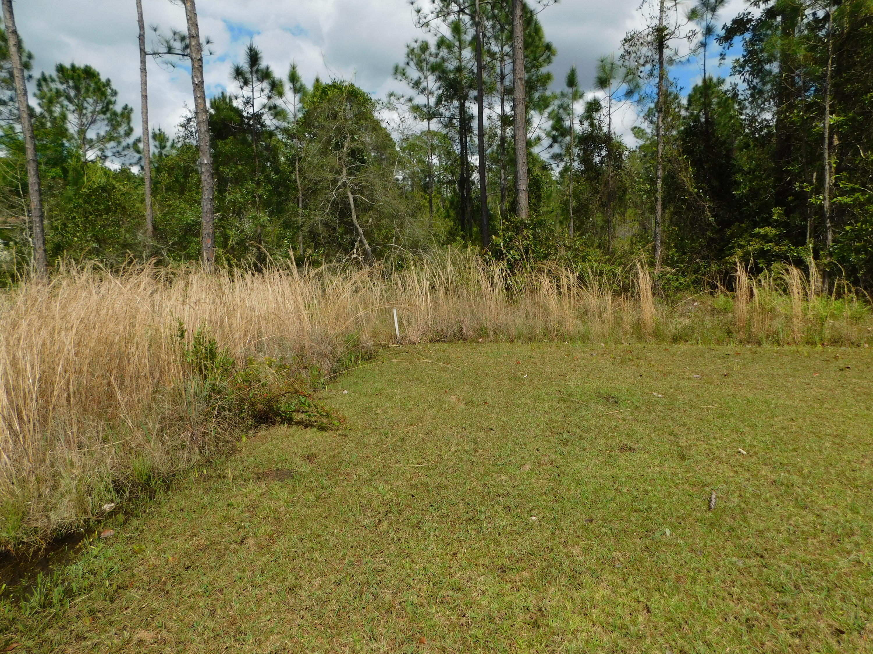 1605 - Live Oak Pt and Old Town of Santa Rosa - Residential