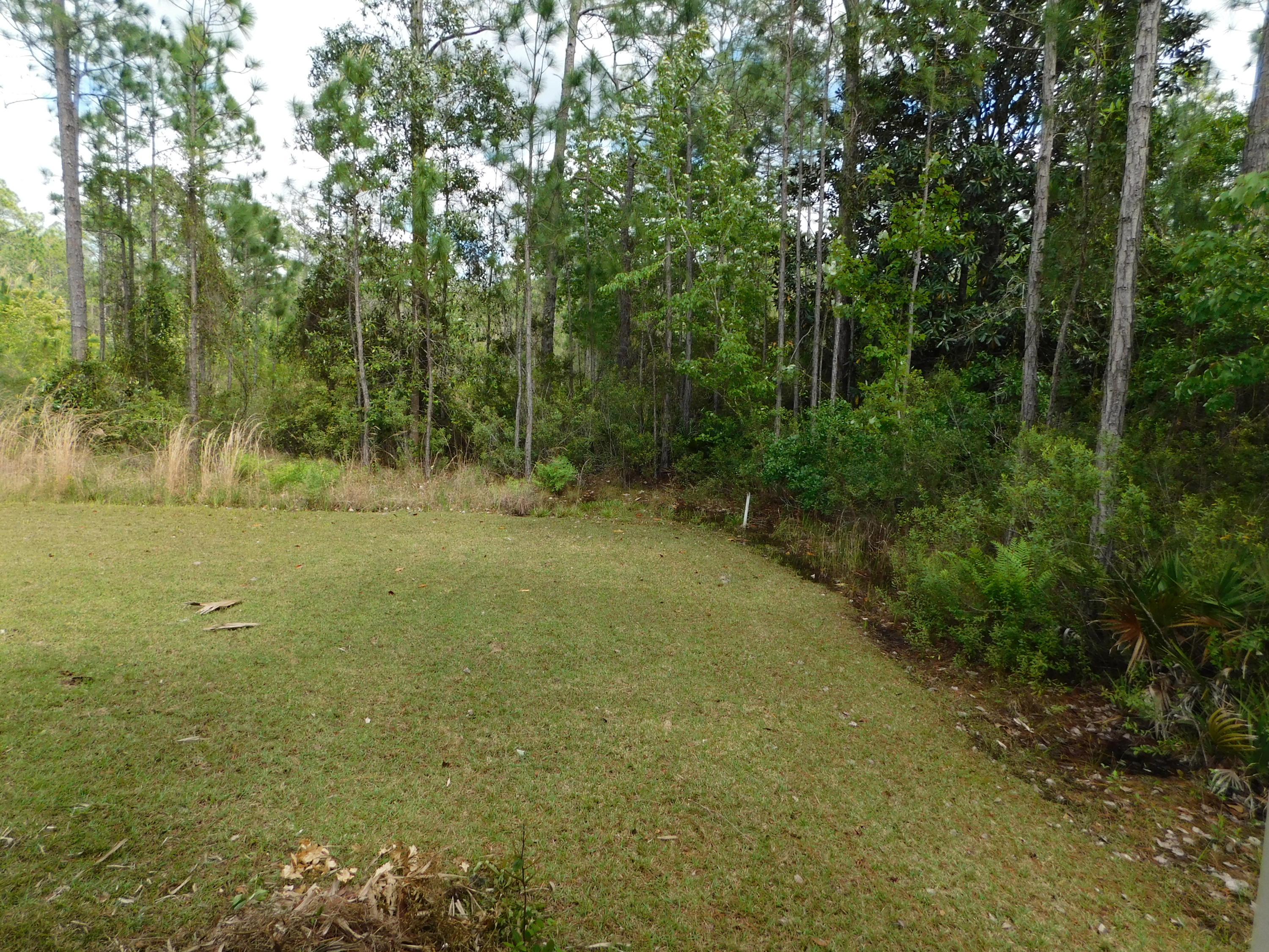 1605 - Live Oak Pt and Old Town of Santa Rosa - Residential