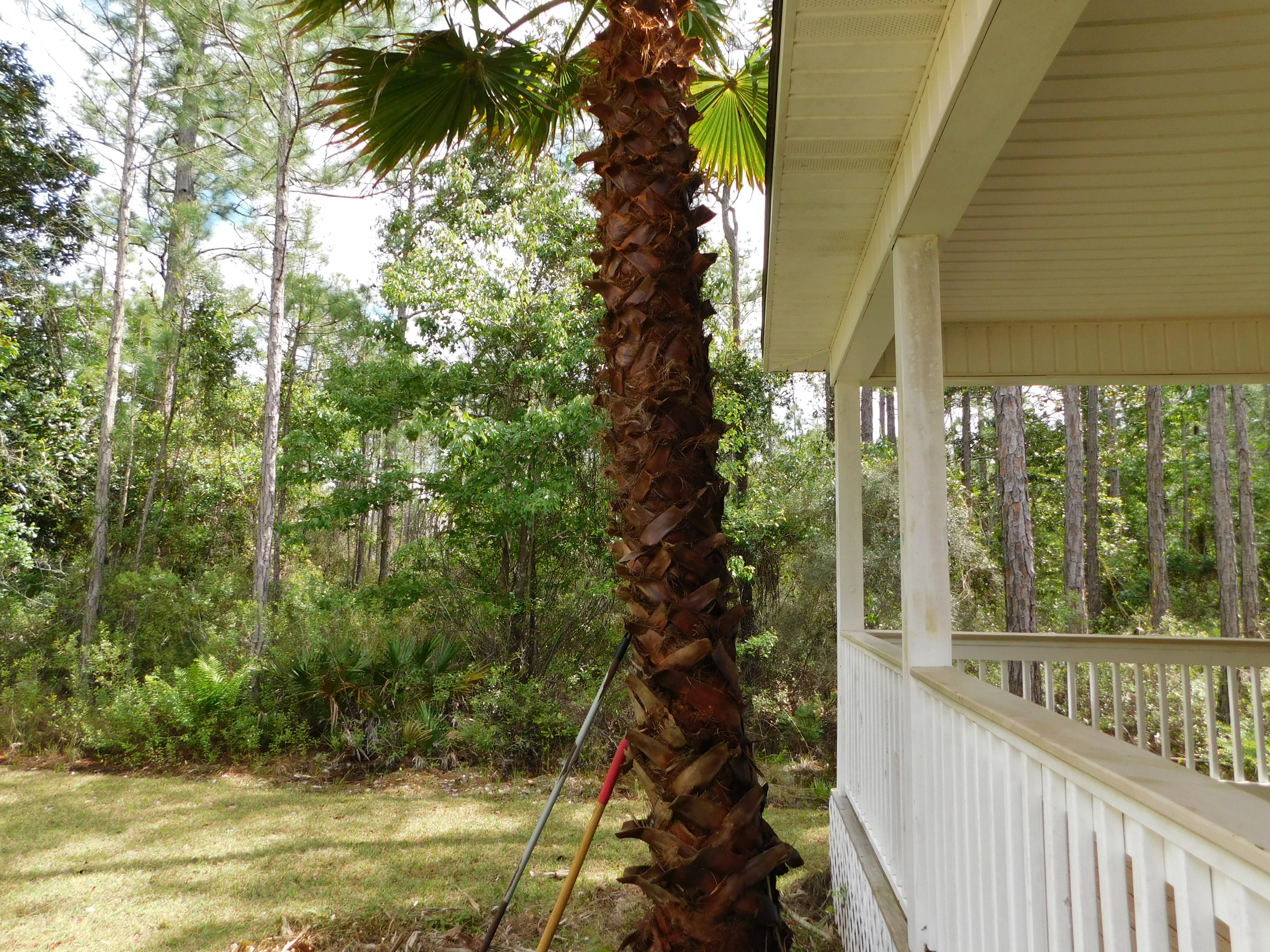 1605 - Live Oak Pt and Old Town of Santa Rosa - Residential