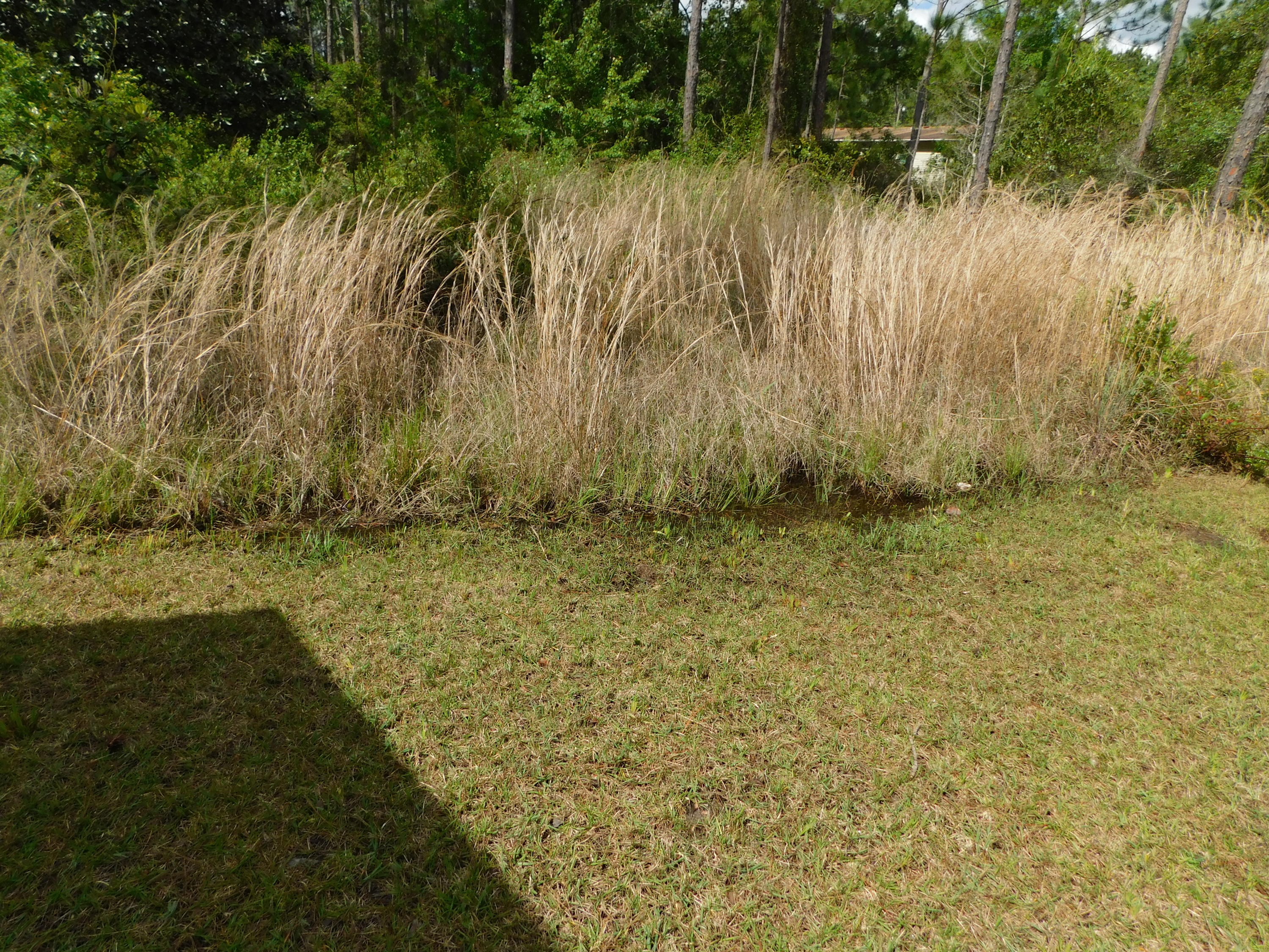 1605 - Live Oak Pt and Old Town of Santa Rosa - Residential