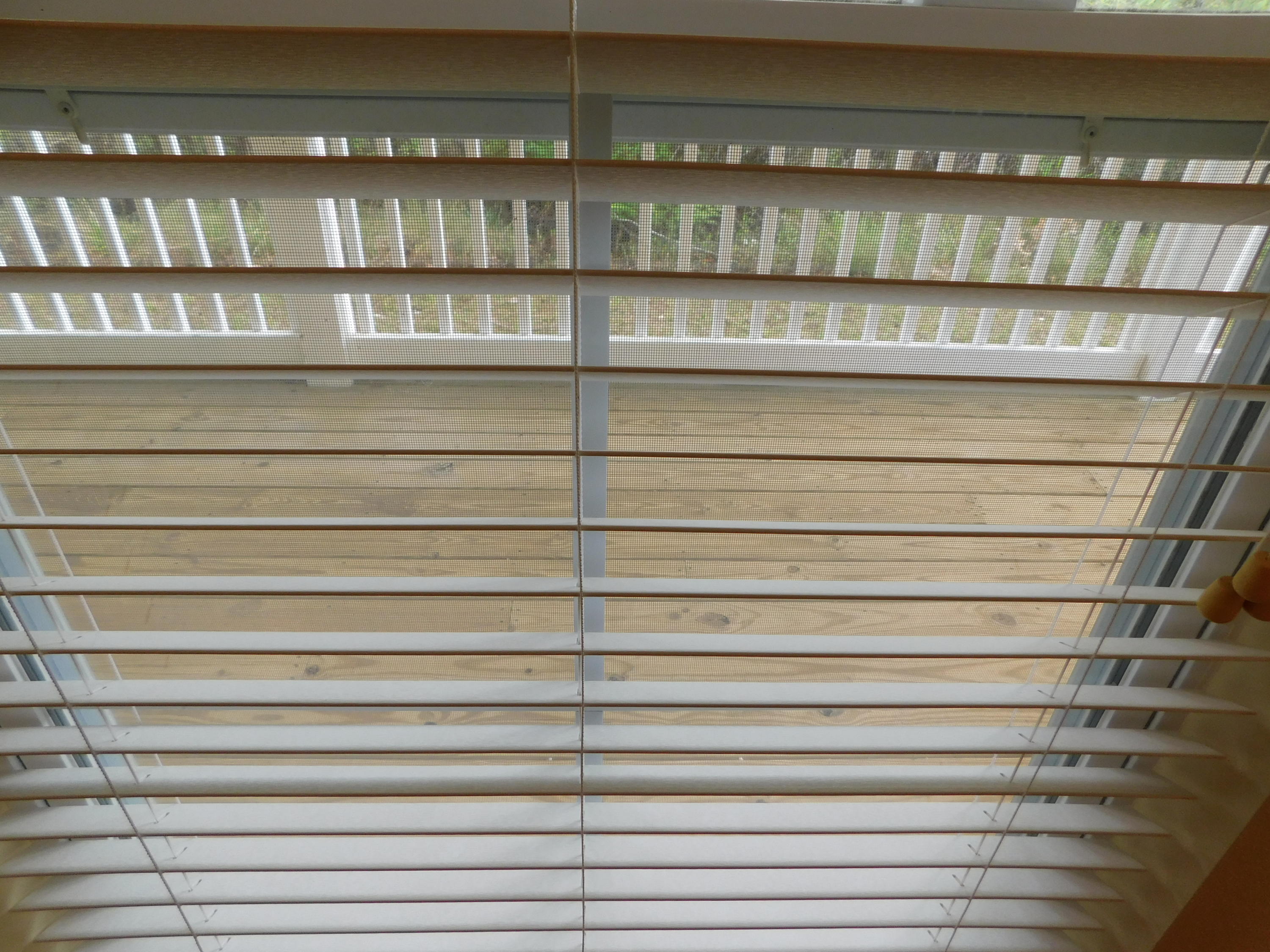 1605 - Live Oak Pt and Old Town of Santa Rosa - Residential