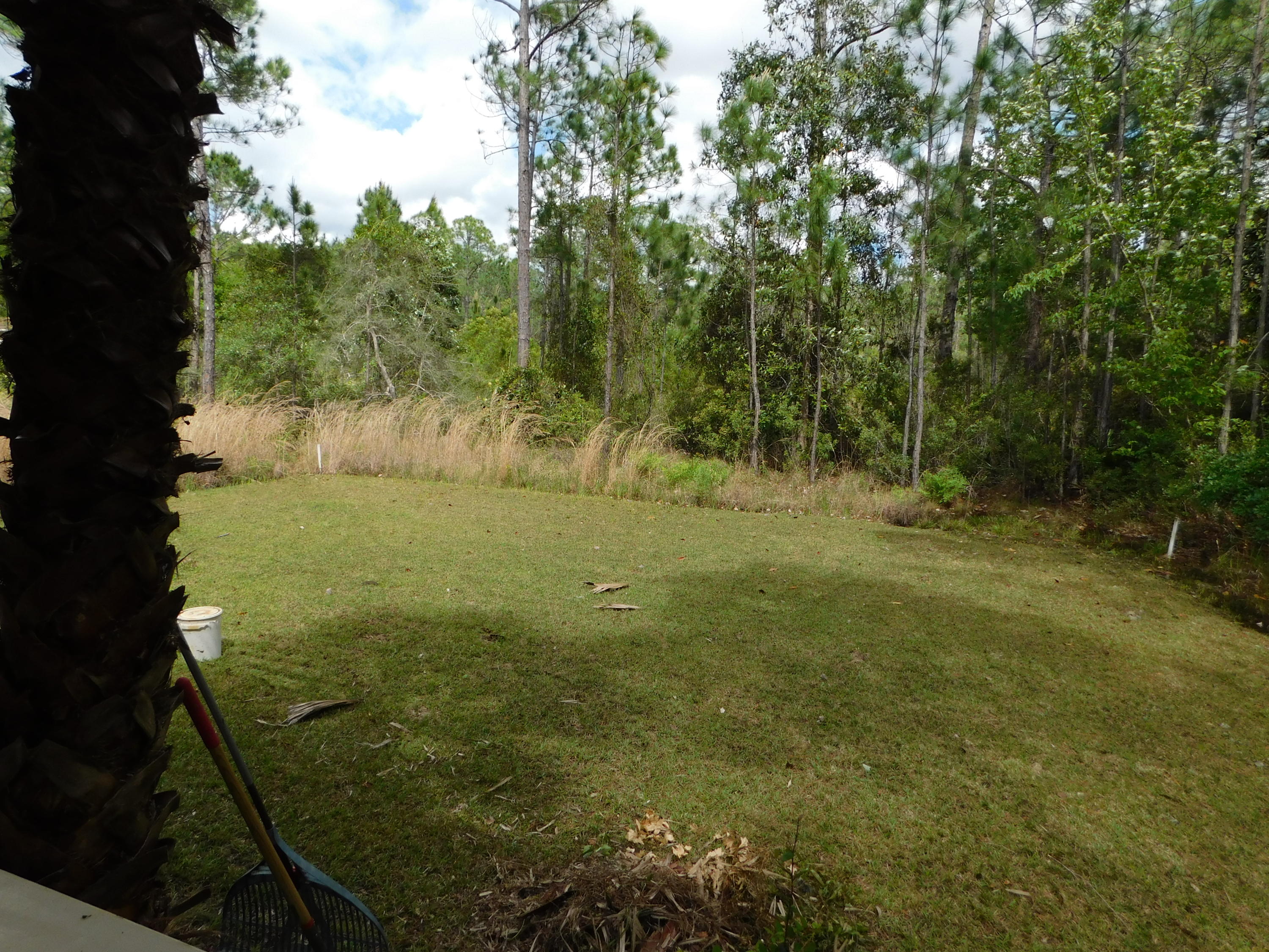 1605 - Live Oak Pt and Old Town of Santa Rosa - Residential