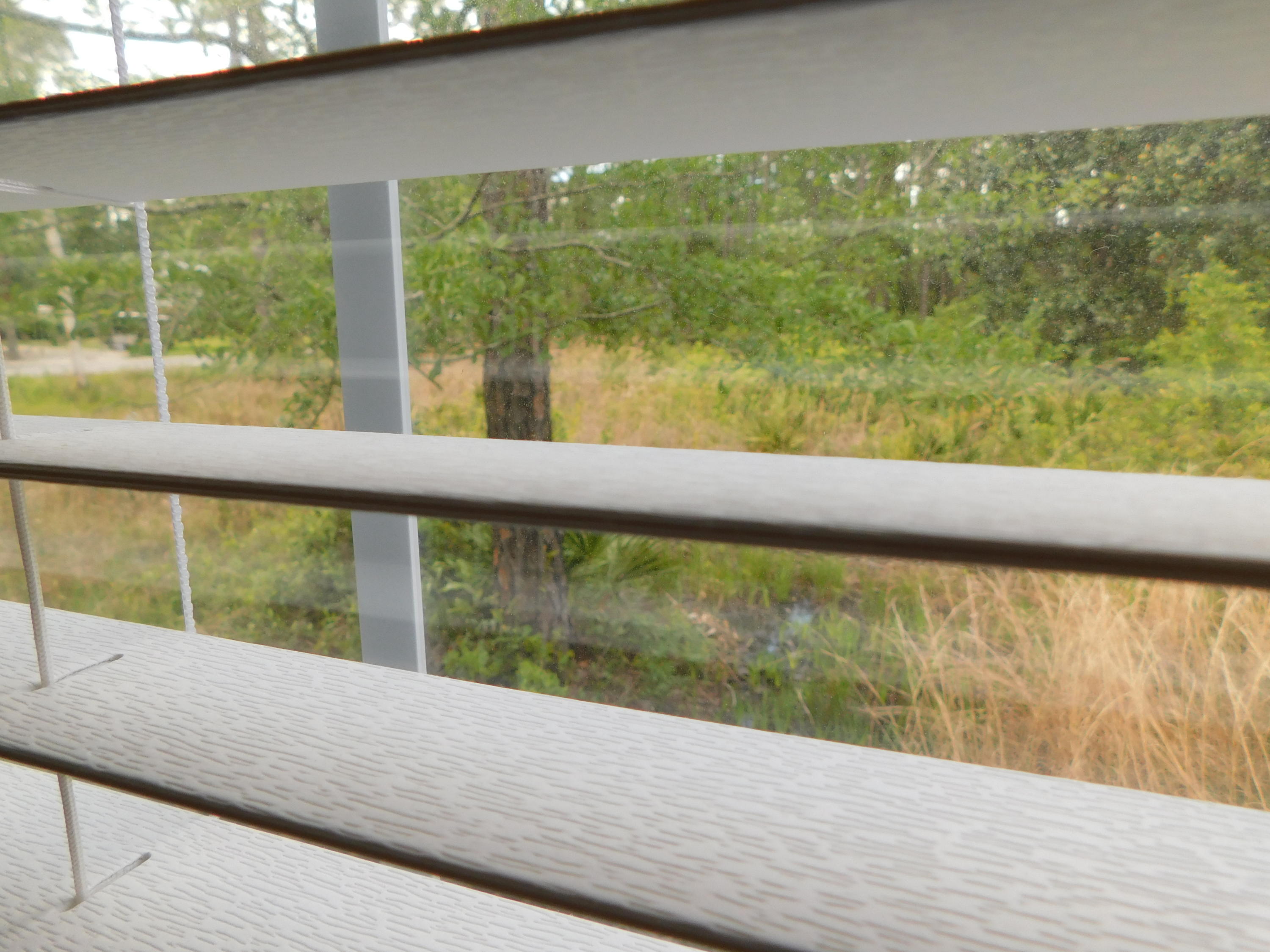 1605 - Live Oak Pt and Old Town of Santa Rosa - Residential