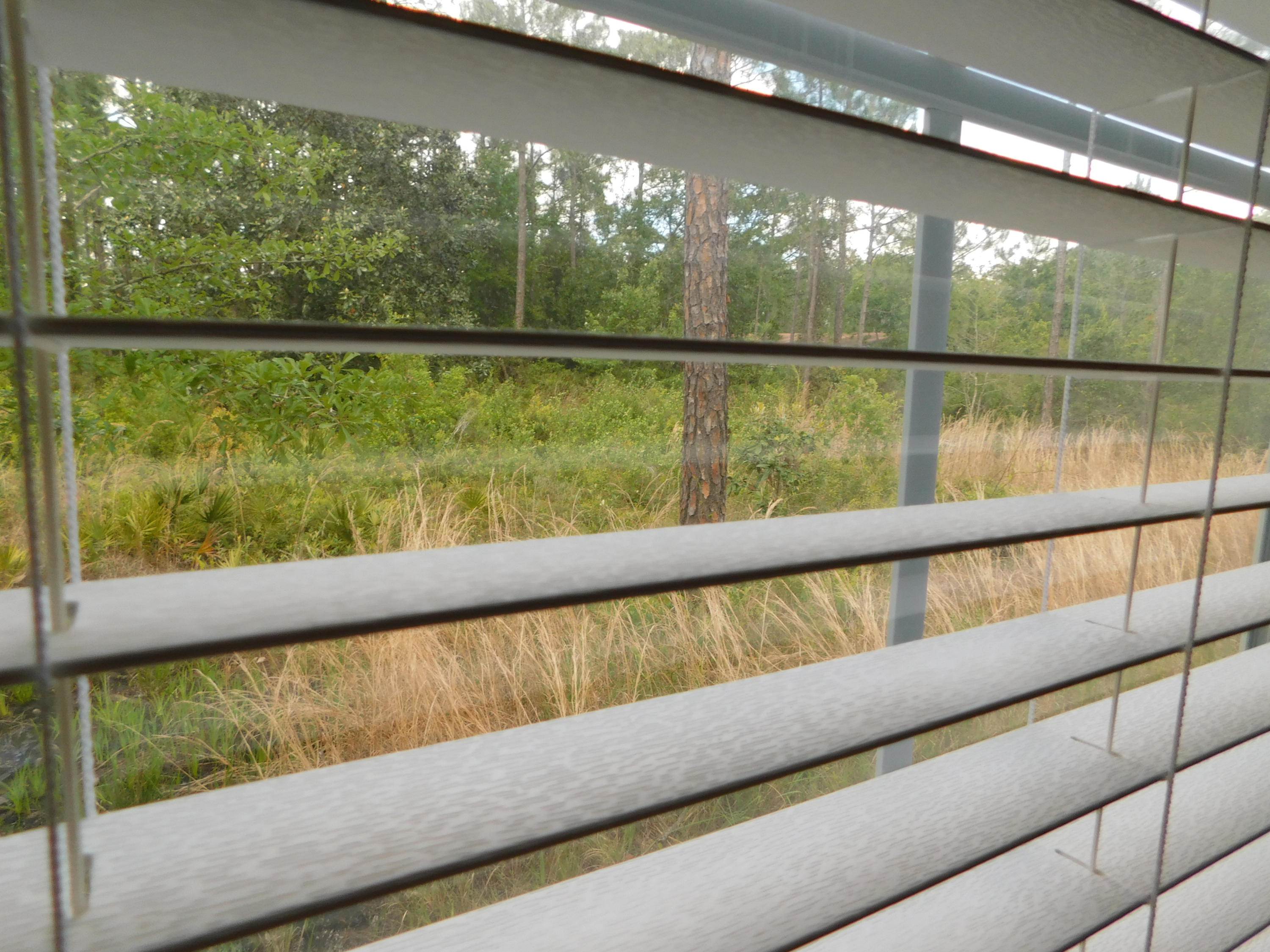 1605 - Live Oak Pt and Old Town of Santa Rosa - Residential