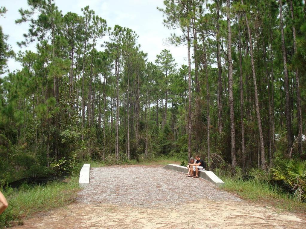 DRIFTWOOD SHORES - Land