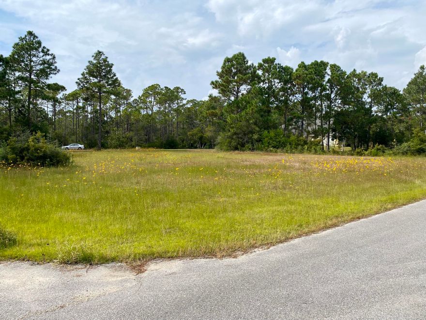 Build your dream home on this corner lot located in the Smugglers Cove subdivision! This beautiful, 0.23 acre lot backs up to one of the many ponds within the neighborhood.  Smugglers Cove offers owners several amenities including a community pool, clubhouse, tennis, and waterfront access with a dock, picnic area & boat launch.  The property is within 5 minutes of the Gulf Breeze Zoo, 10 minutes of the restaurants & shopping in Tiger Point, and 15 minutes of Navarre Beach.  Schedule your showing today!