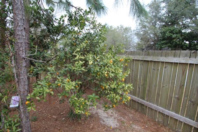 RIVERCHASE S/D PH 2 - Residential