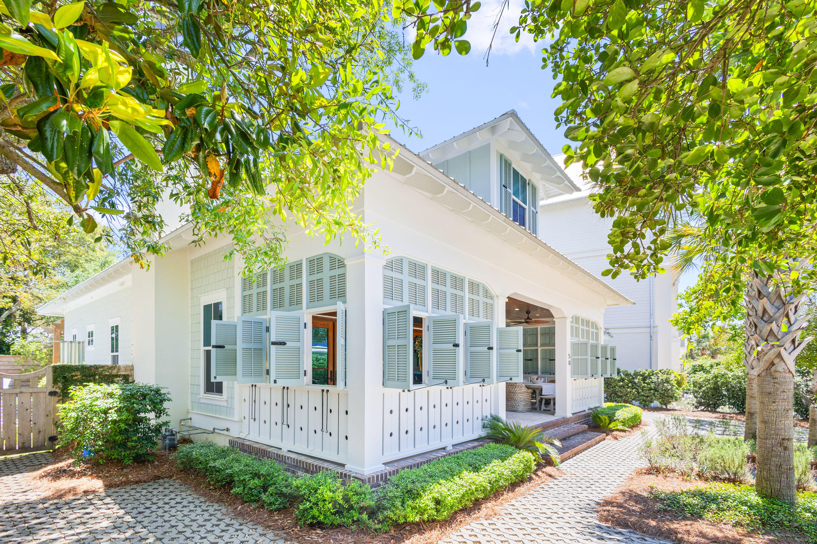 50 Camellia Street