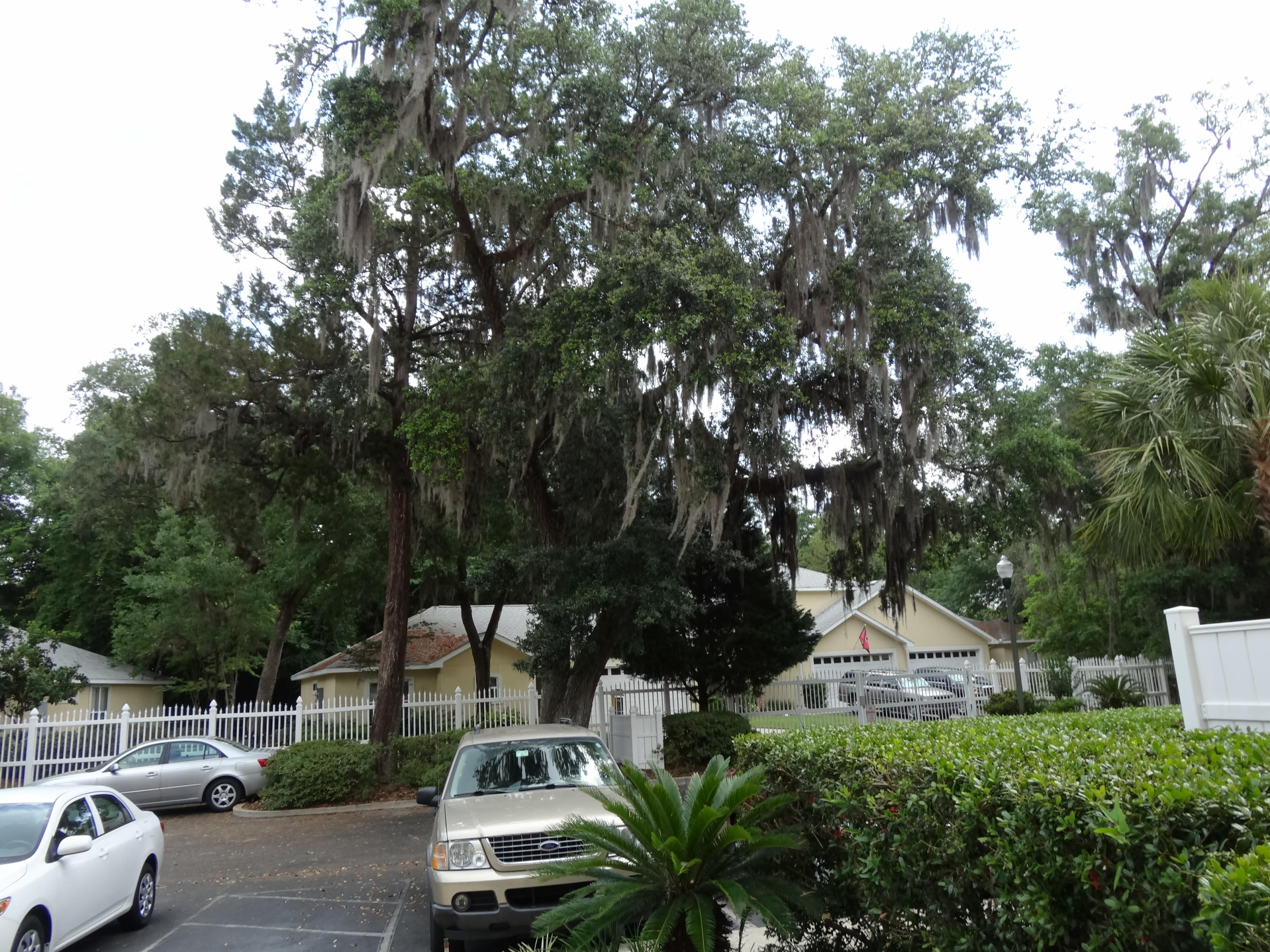 BAYSIDE VILLAS CONDO - Residential