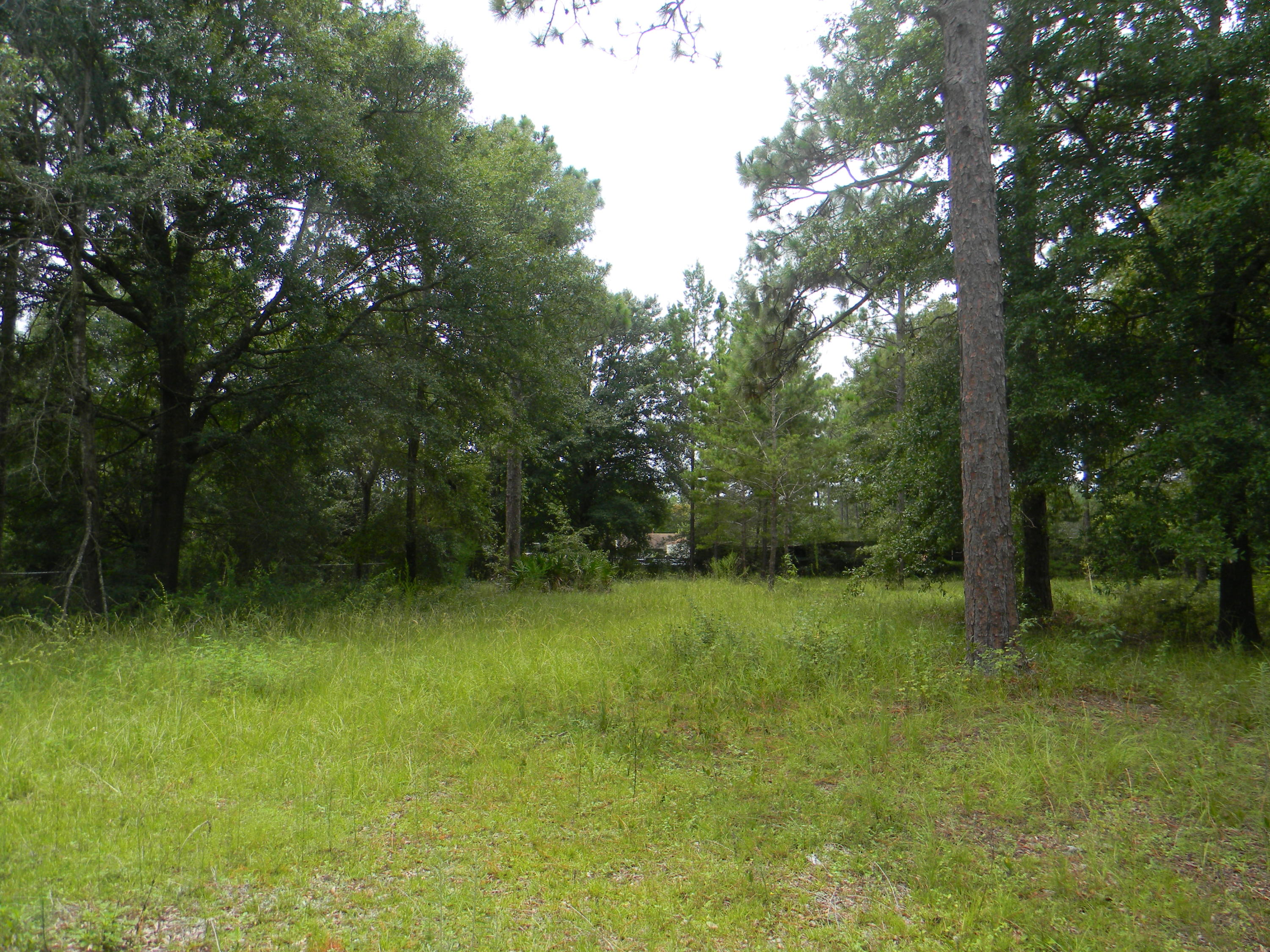 METES & BOUNDS - Land