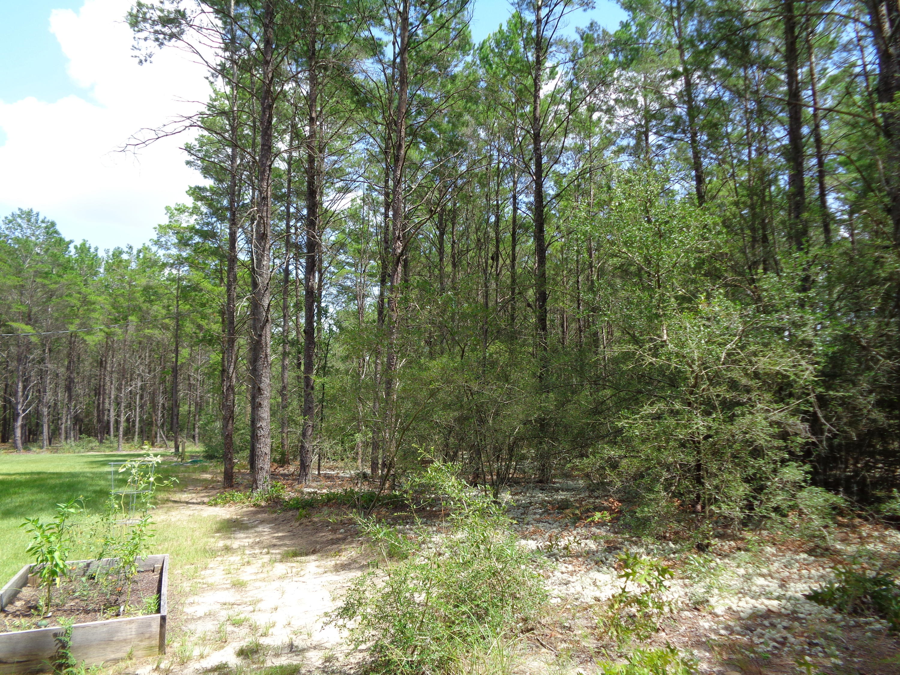 LOT 3 LAIRD COMMONS UNREC - Residential