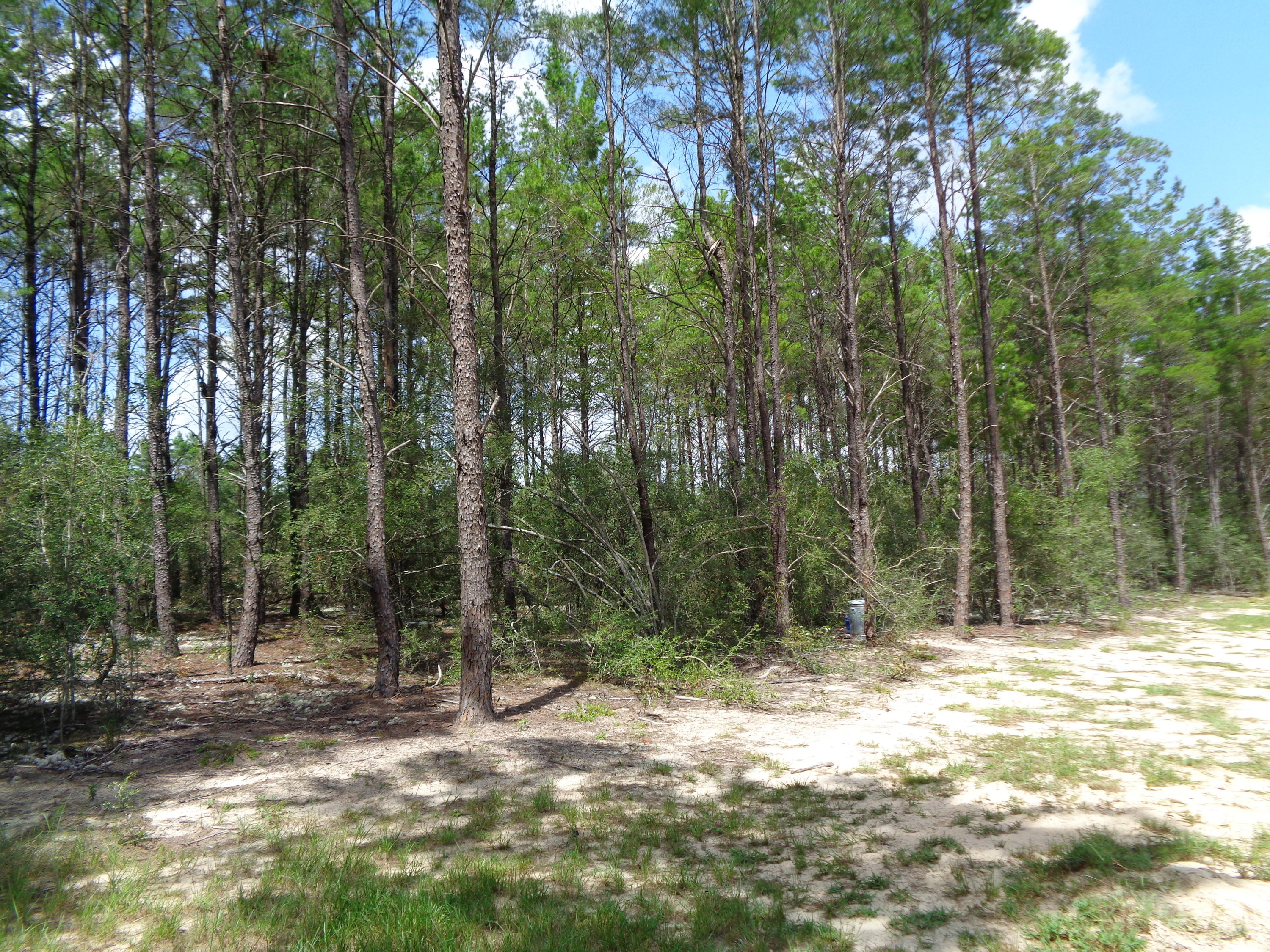 LOT 3 LAIRD COMMONS UNREC - Residential