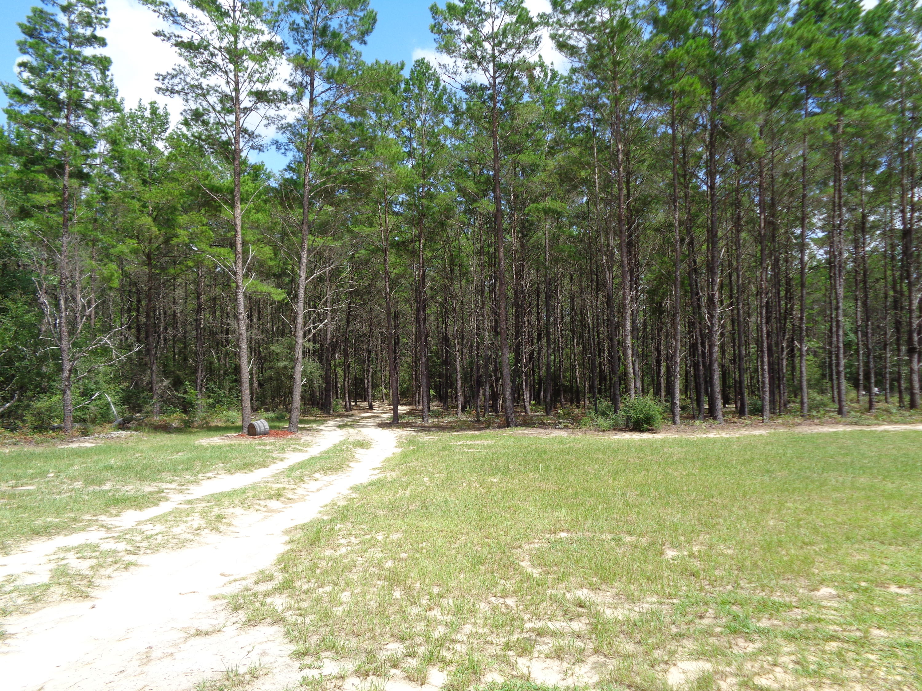 LOT 3 LAIRD COMMONS UNREC - Residential