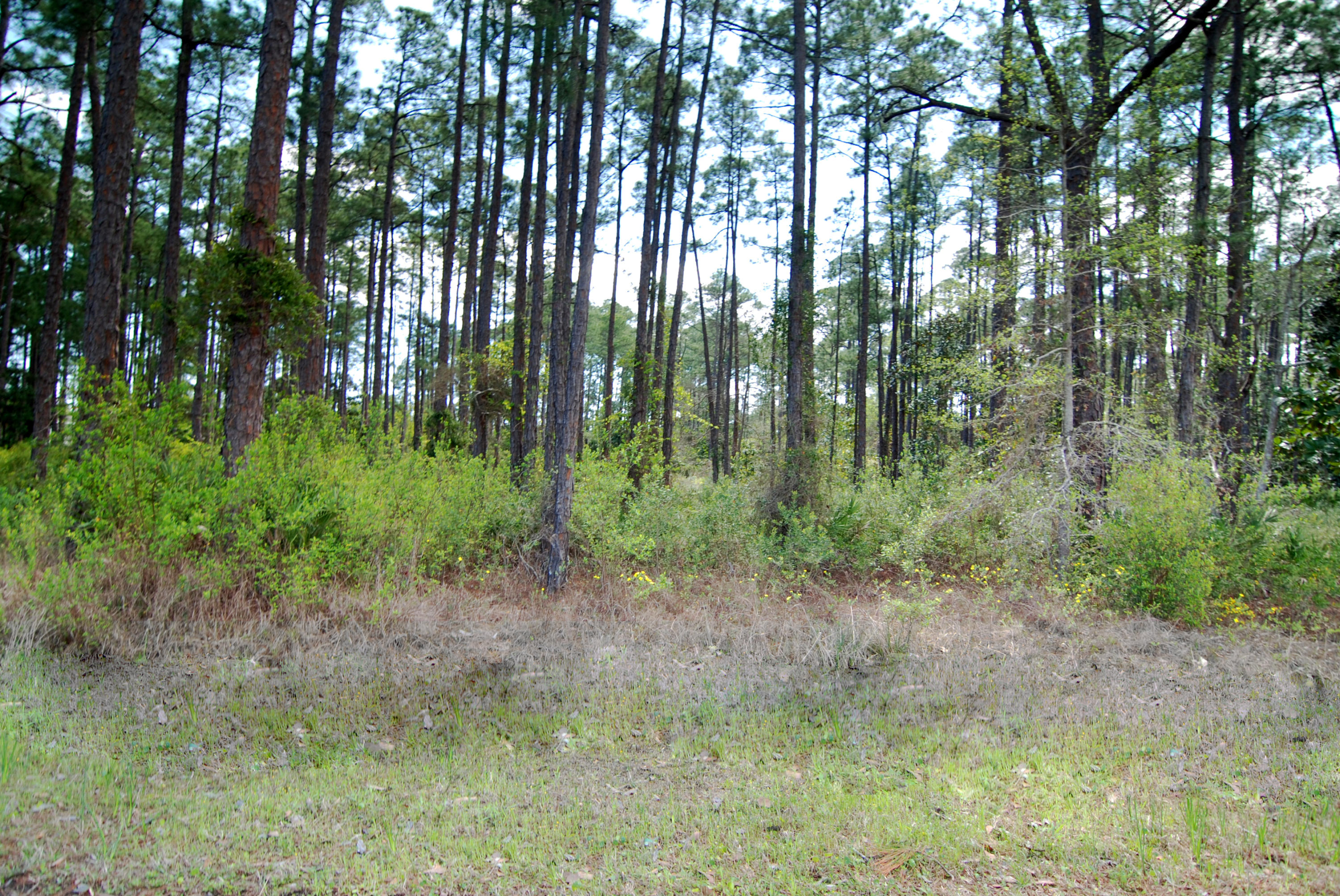 Amazing opportunity to build your dream home with potential bay views. Located across the street from the bay this private .57 Acre lot back to green space and is just a short drive to Sacred Heart Hospital, Grand Boulevard, Sandestin Golf & Beach Resort, Baytowne, restaurants, and the Beach. Driftwood Estates feature many amenities including playground, picnic area, and more. The adjacent lot to the right is also for sale MLS# 730816, great for the person wanting a large 1+ acre lot with potential bay views. Don't miss this opportunity to build the home of your dreams.