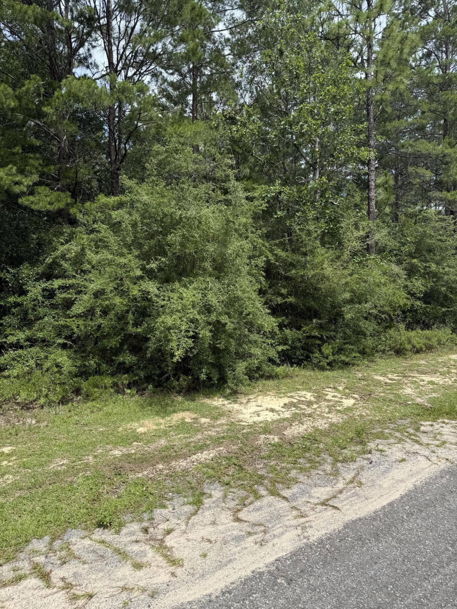 16 wooded lots with 4 accessible from Watson Rd. All other lots are not consecutive and are not accessible from road. All lots will require utilities. Call your favorite agent today for more information. Sale includes the following parcels:18-3N-20-28100-013-000018-3N-20-28100-013-013018-3N-20-28100-007-007018-3N-20-28100-007-0010