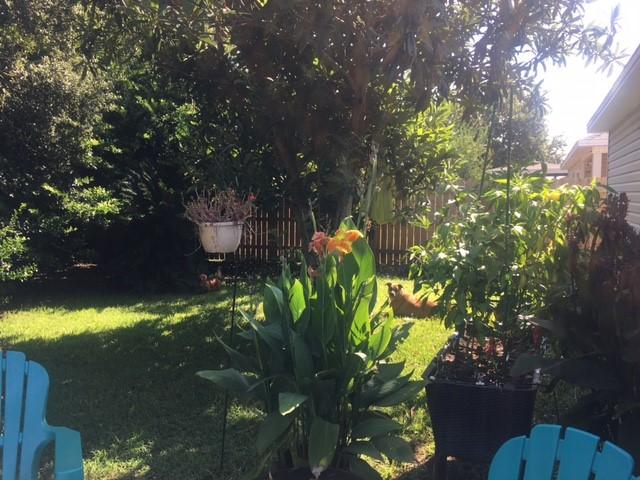 WATERFORD ESTATES S/D - Residential