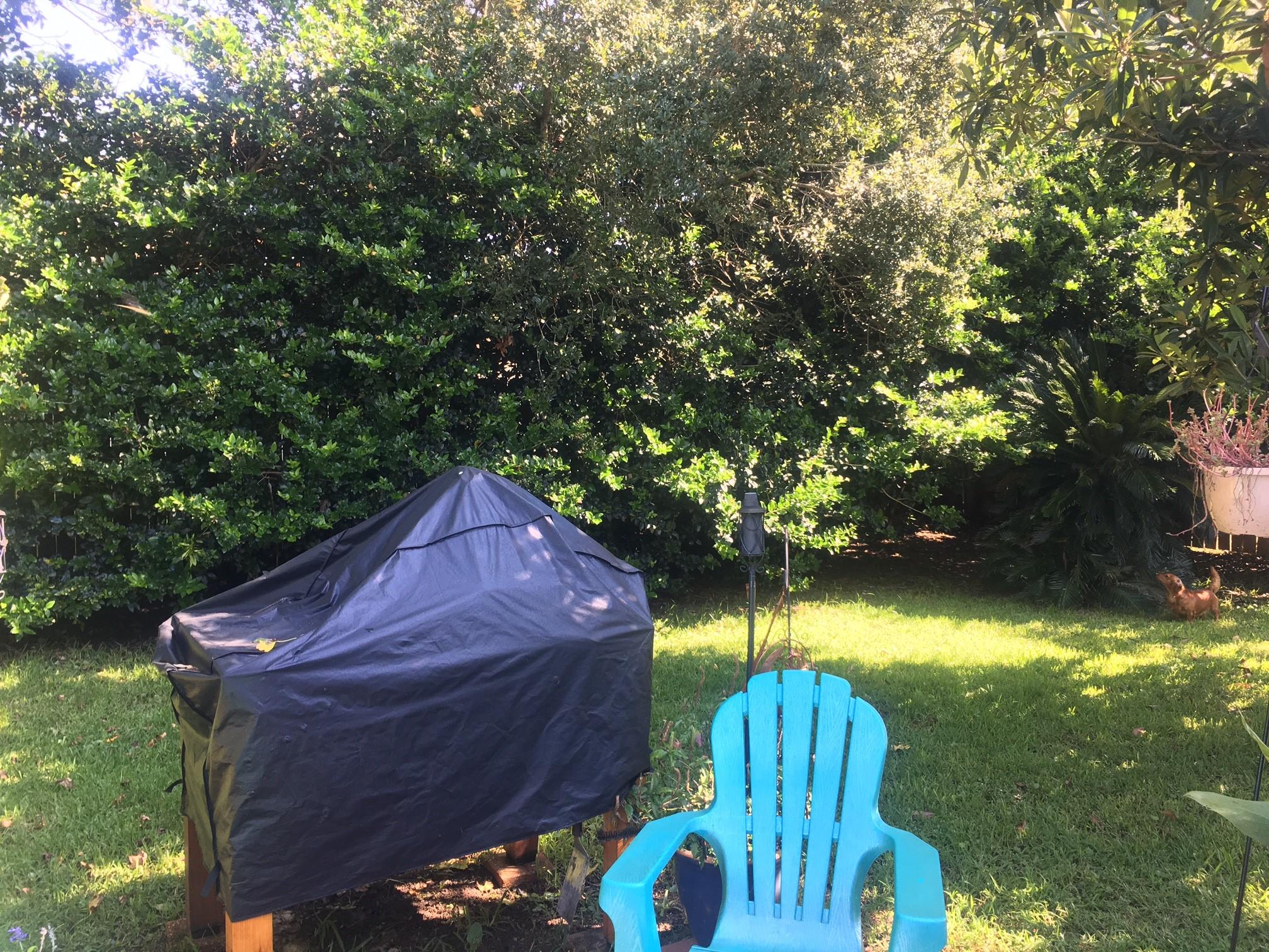 WATERFORD ESTATES S/D - Residential