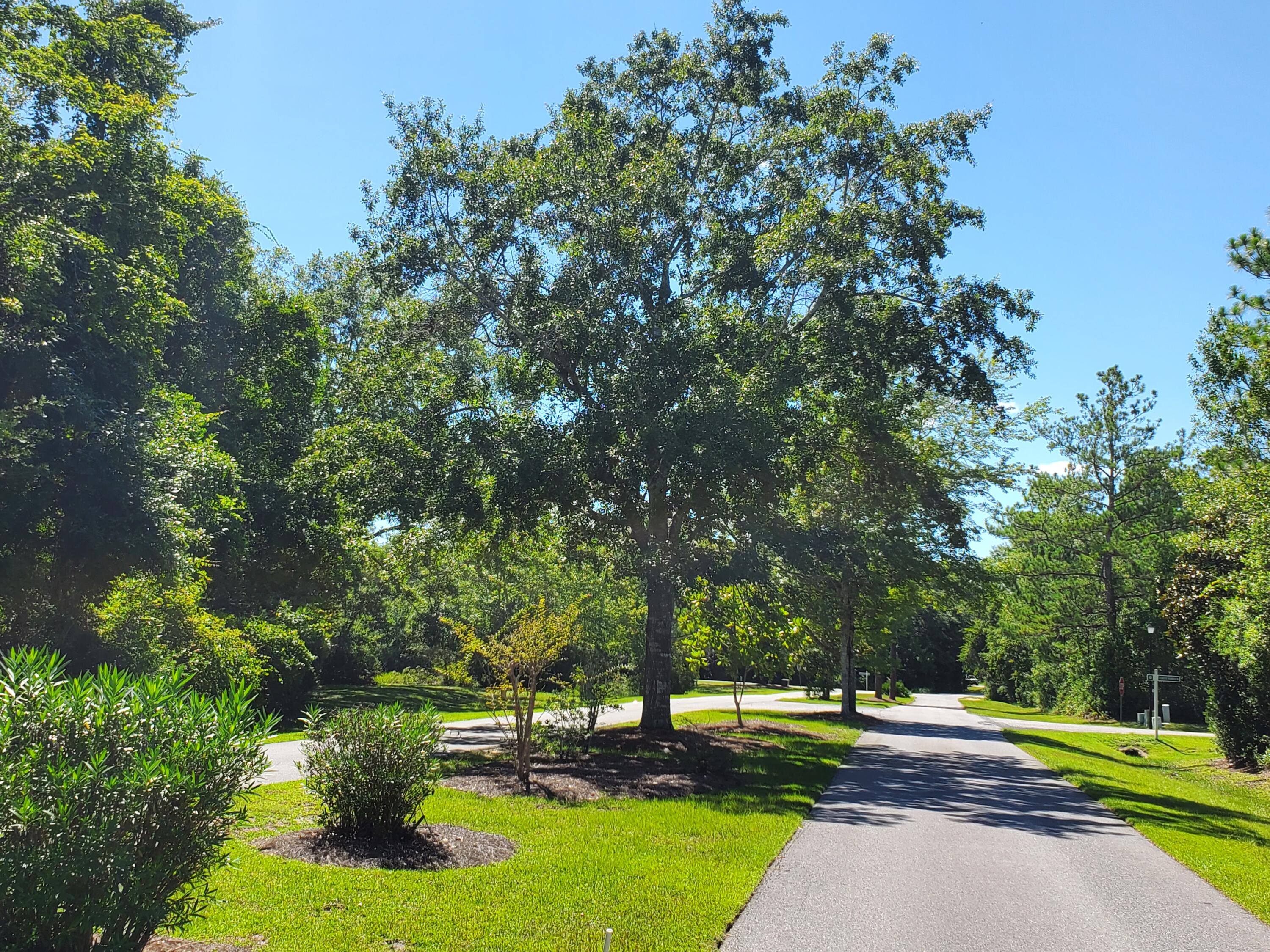 BAY HARBOUR - Residential