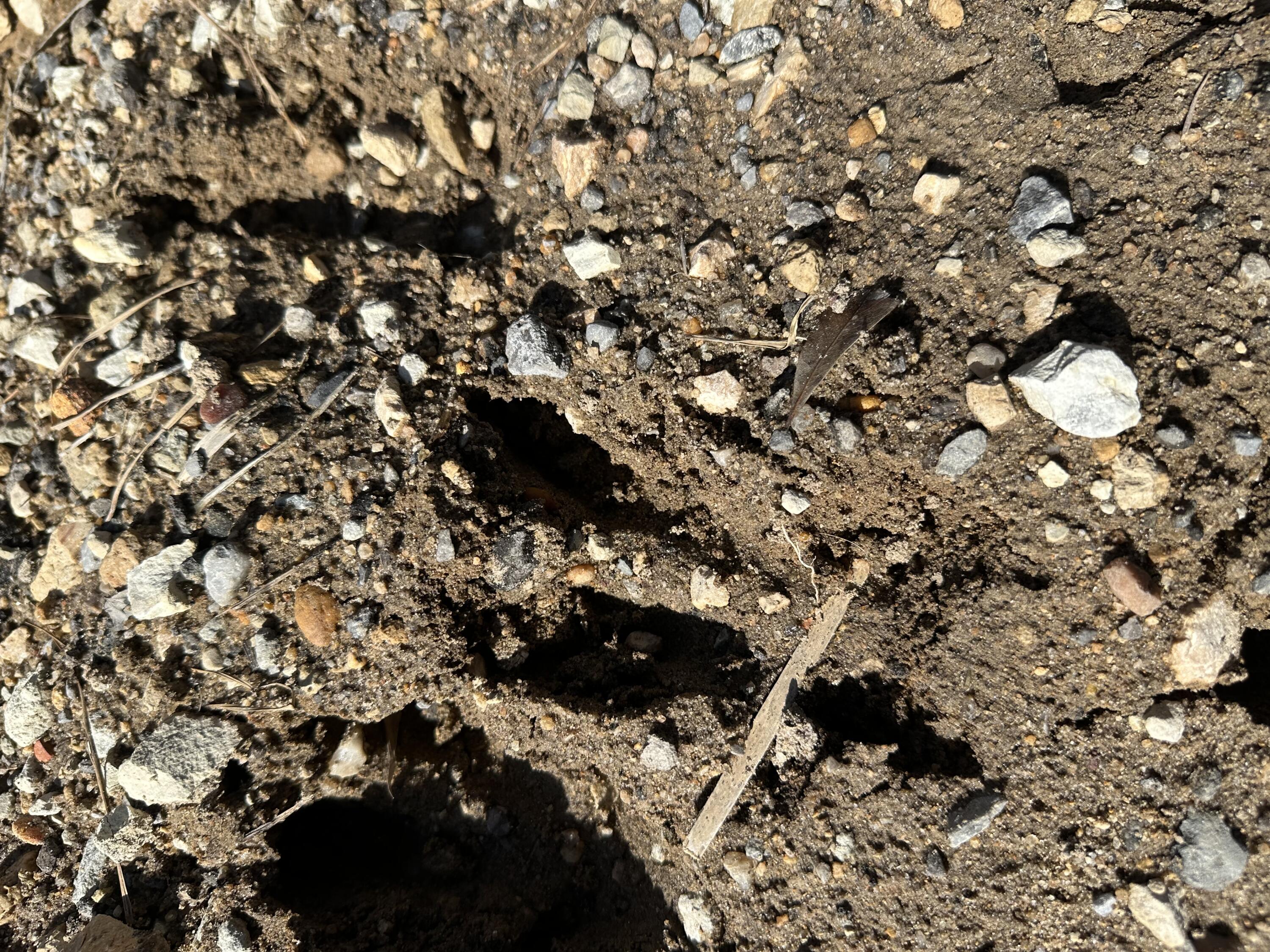 METES & BOUNDS - Farm